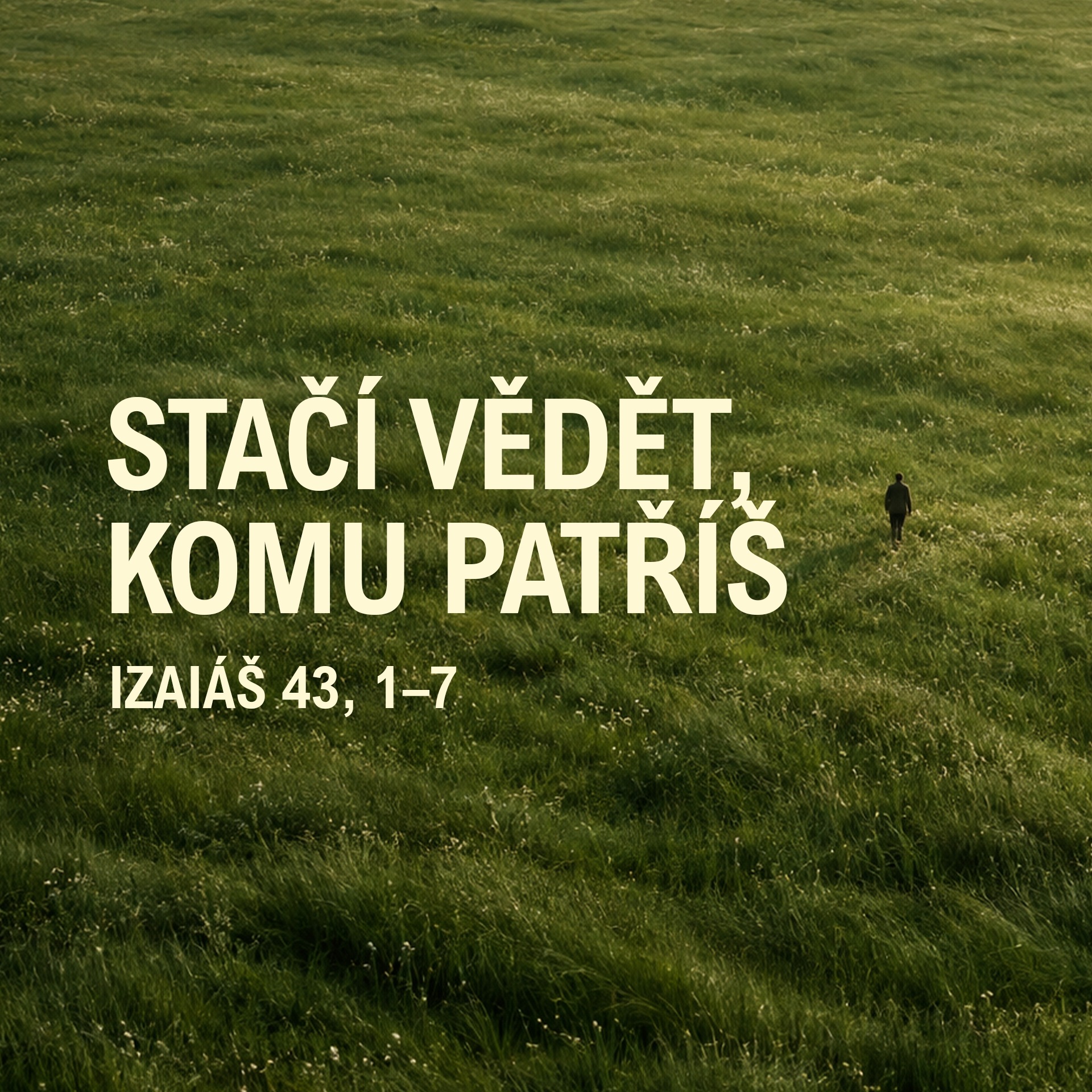 Kostel v parku