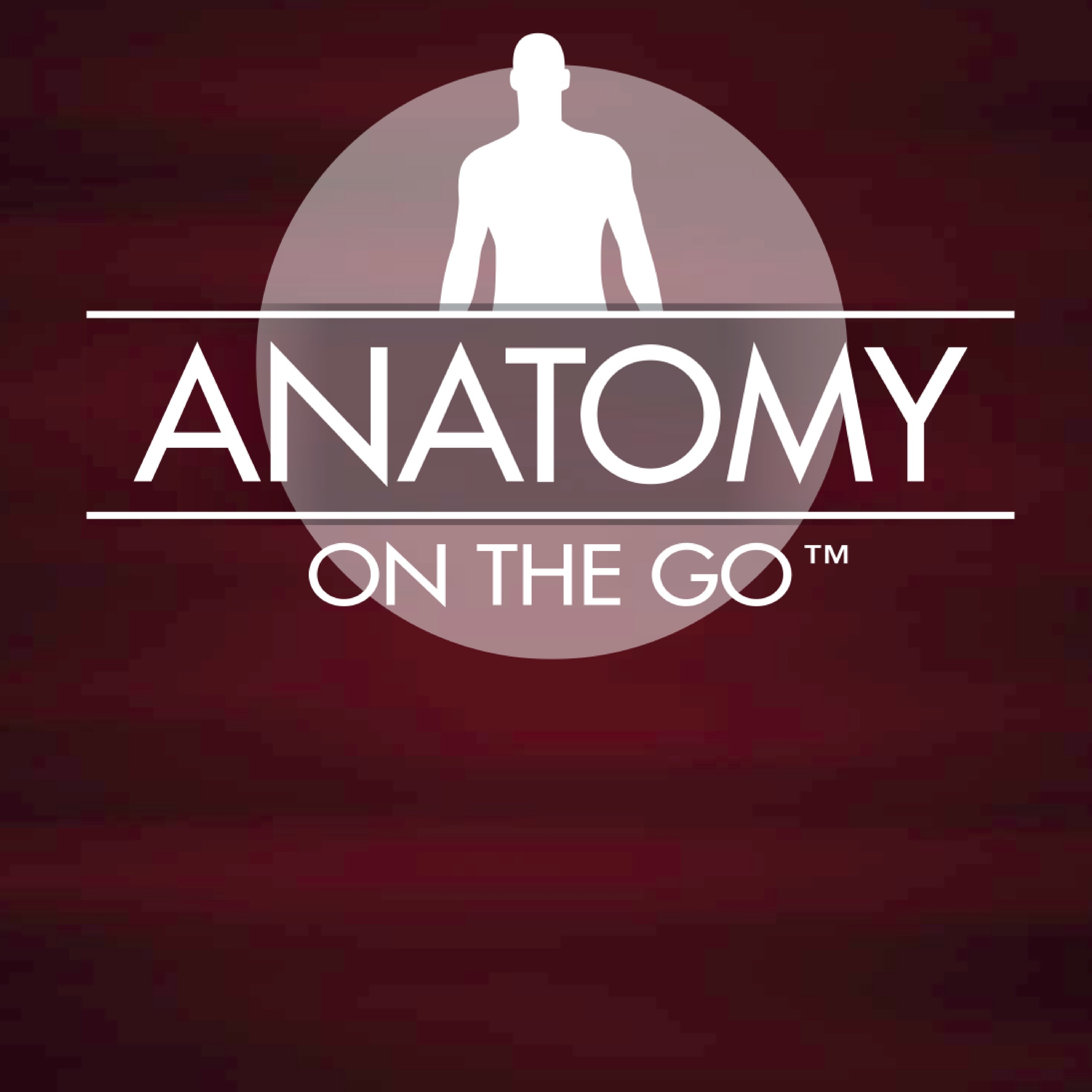A New Direction for Anatomy On The Go