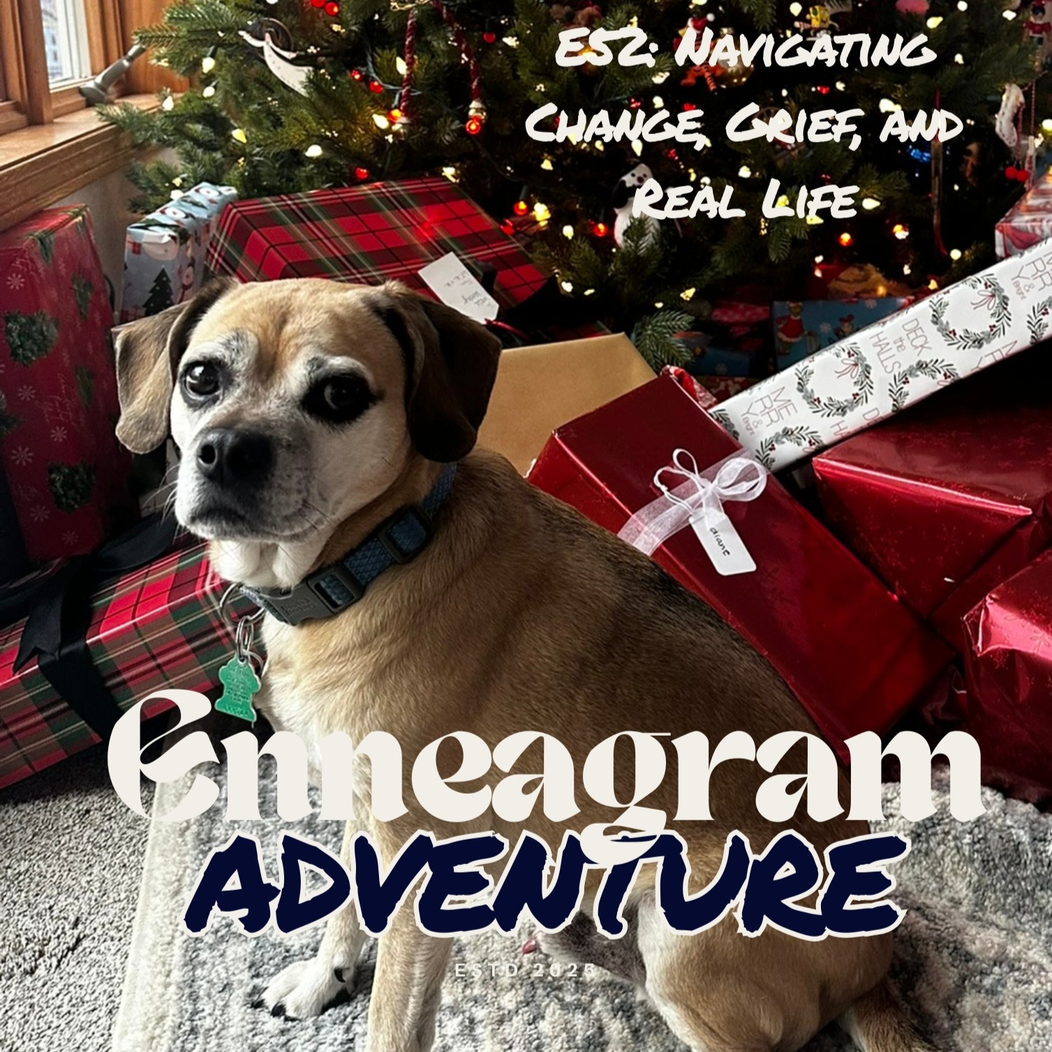 E52: Navigating Change, Grief, and Real Life episode artwork