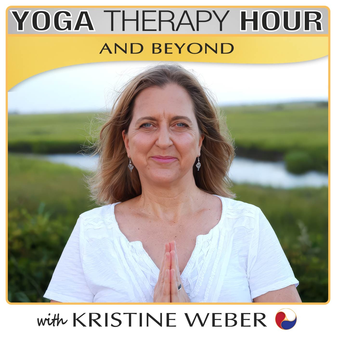 Yoga, the Vagus Nerve & the Future of Our Field with Kristine Weber, MA, C-IAYT, E-RYT 500