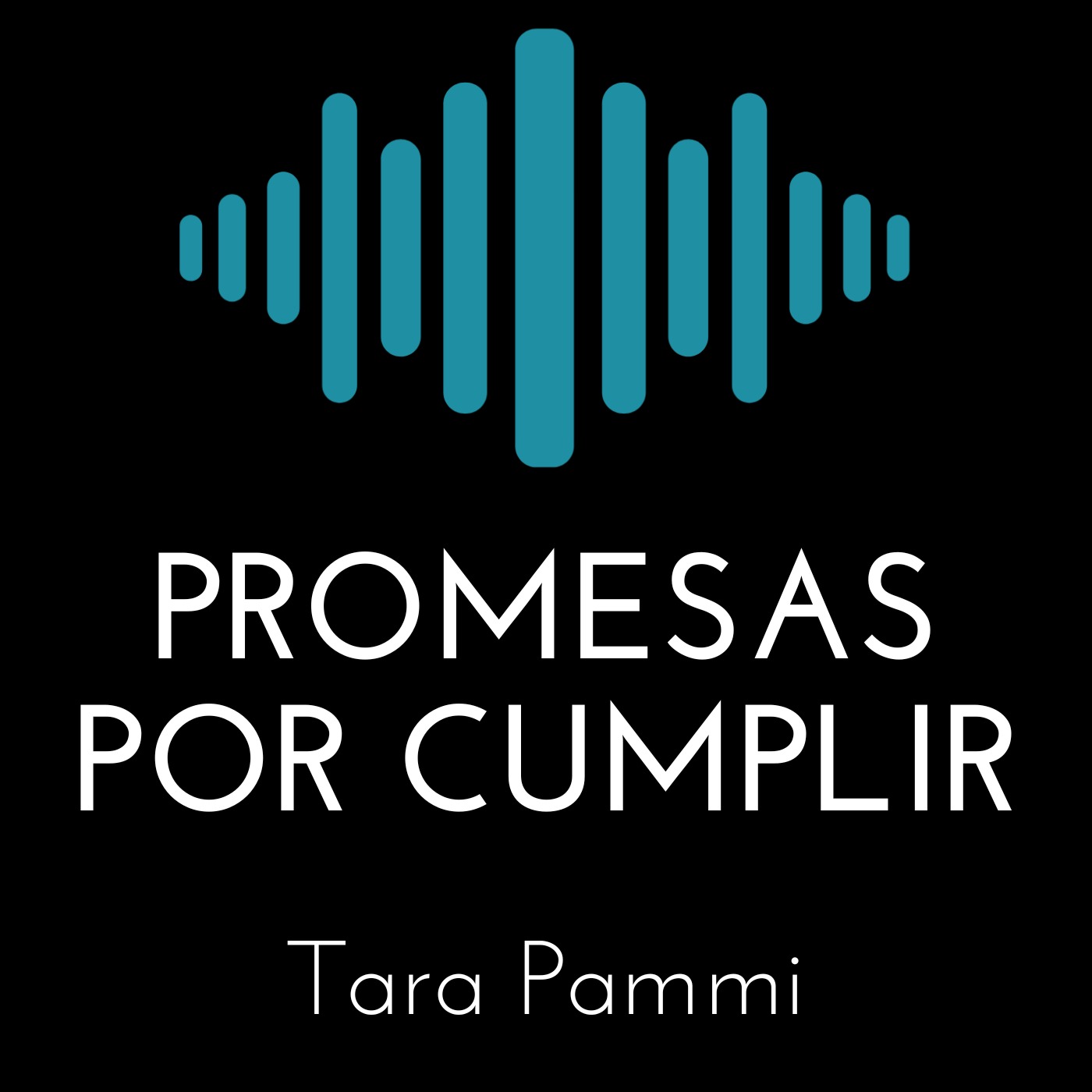 Portada de Audioquin