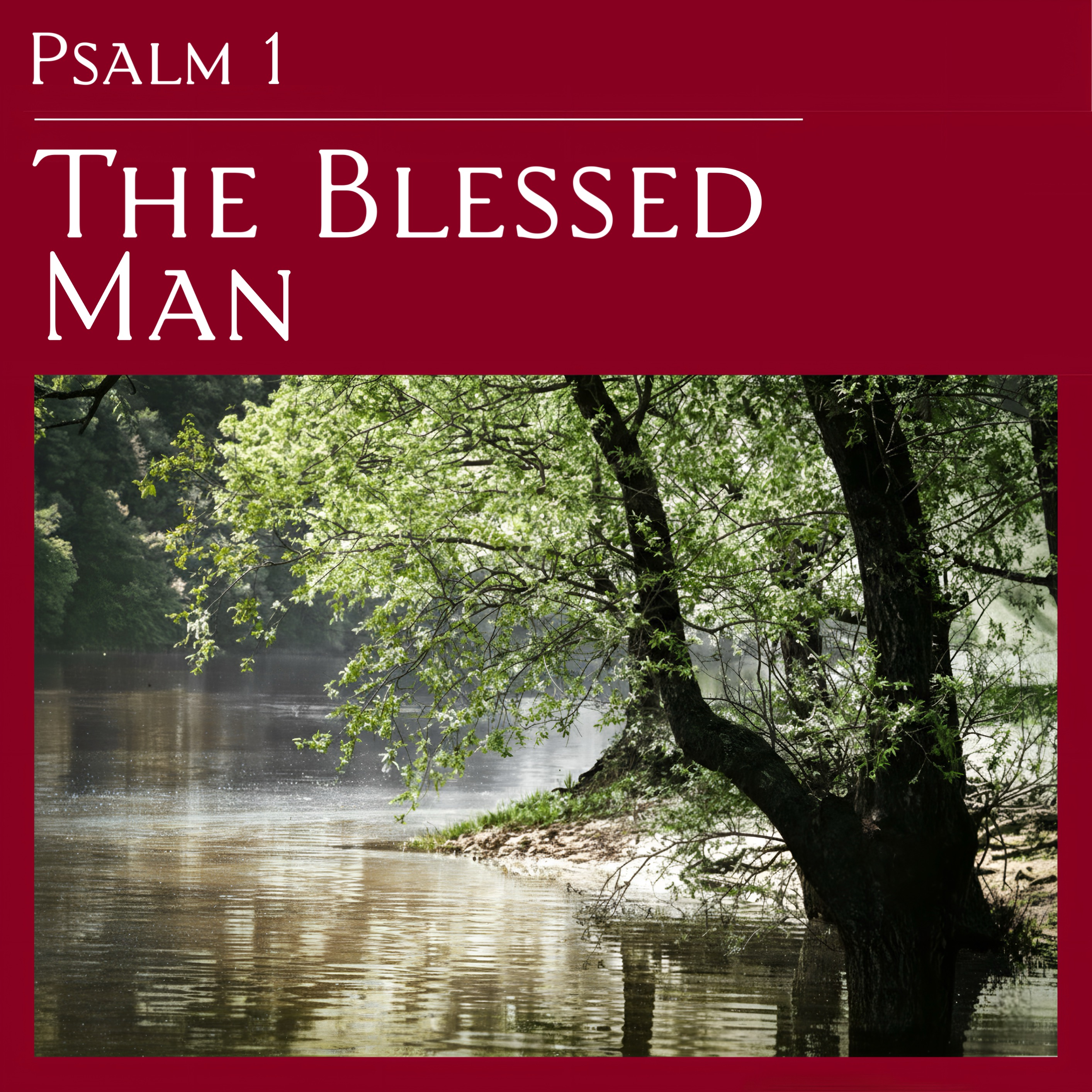 Psalm 1 — The Blessed Man episode artwork