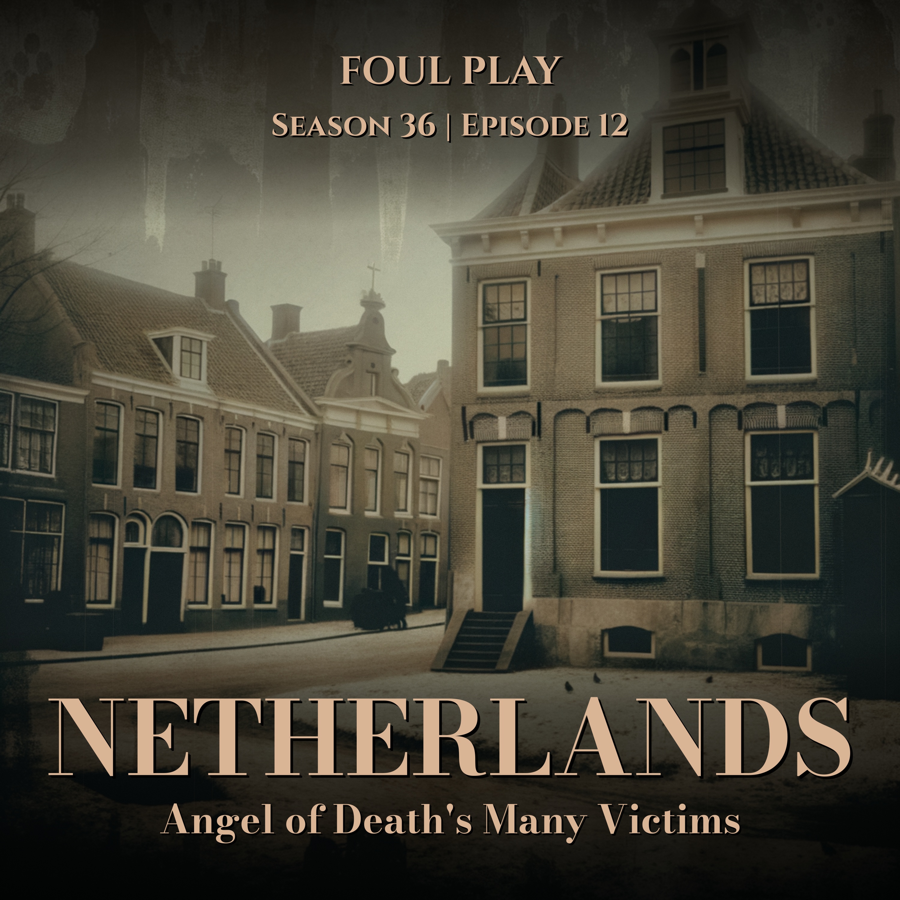 Netherlands: The Angel of Death's 27 Victims