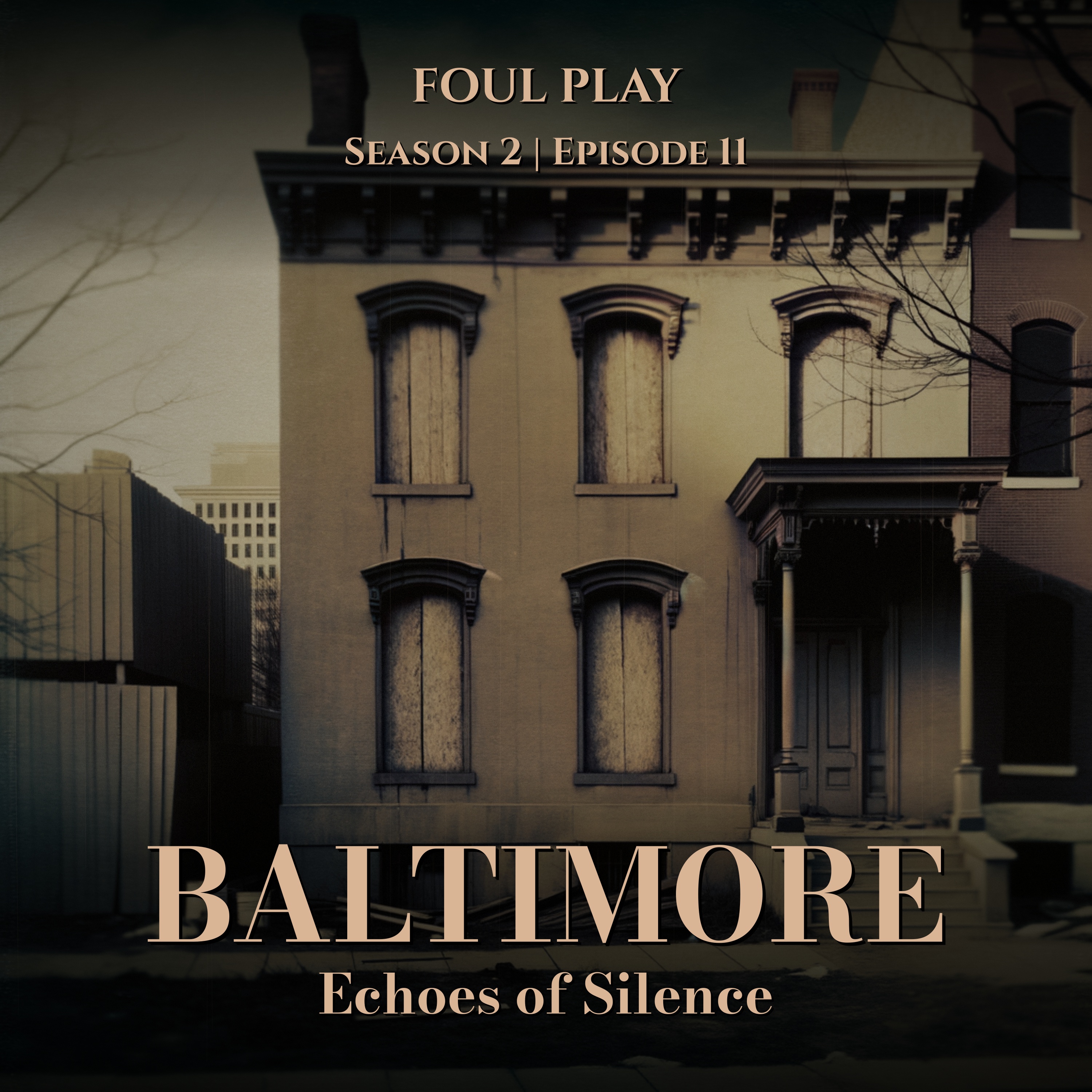 Baltimore: Echoes of Silence