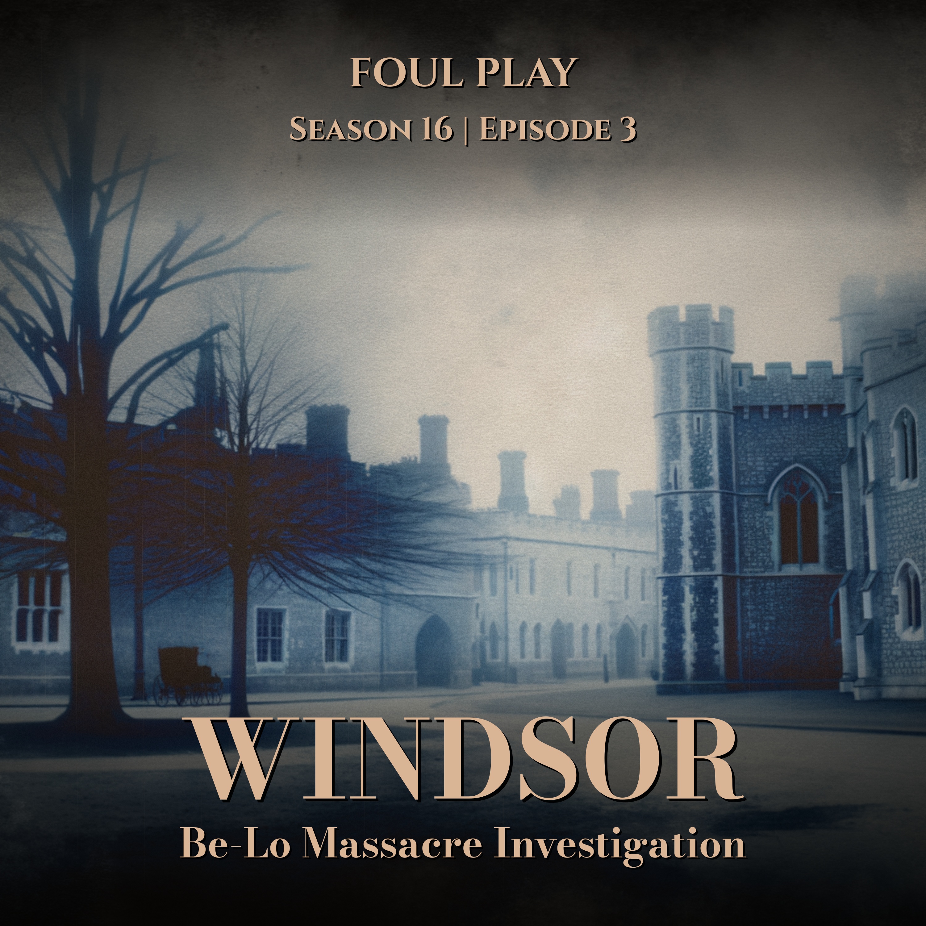 Windsor: Be-Lo Massacre Investigation