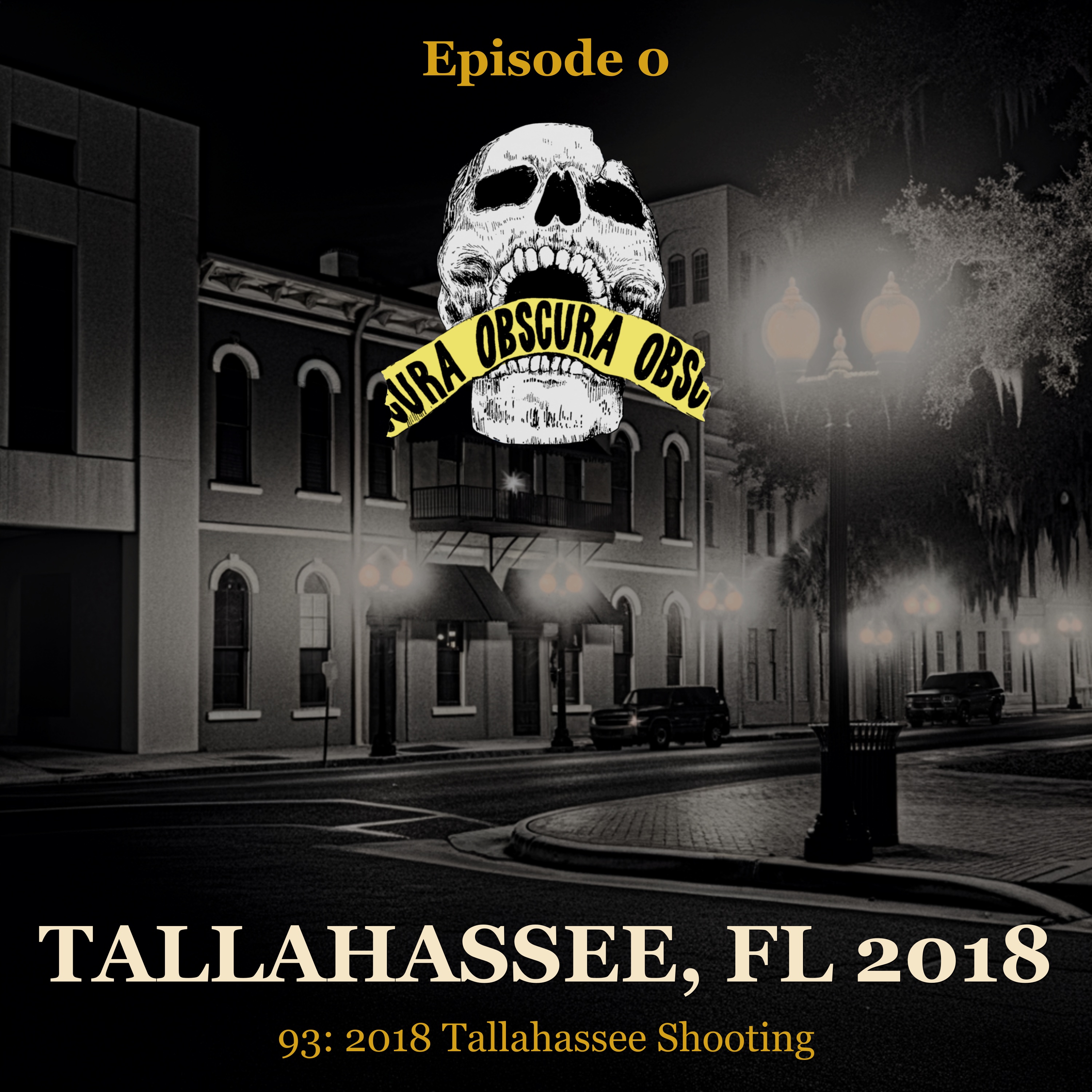 MASS SHOOTING: Tallahassee Incident | Tallahassee, FL 2018 episode artwork