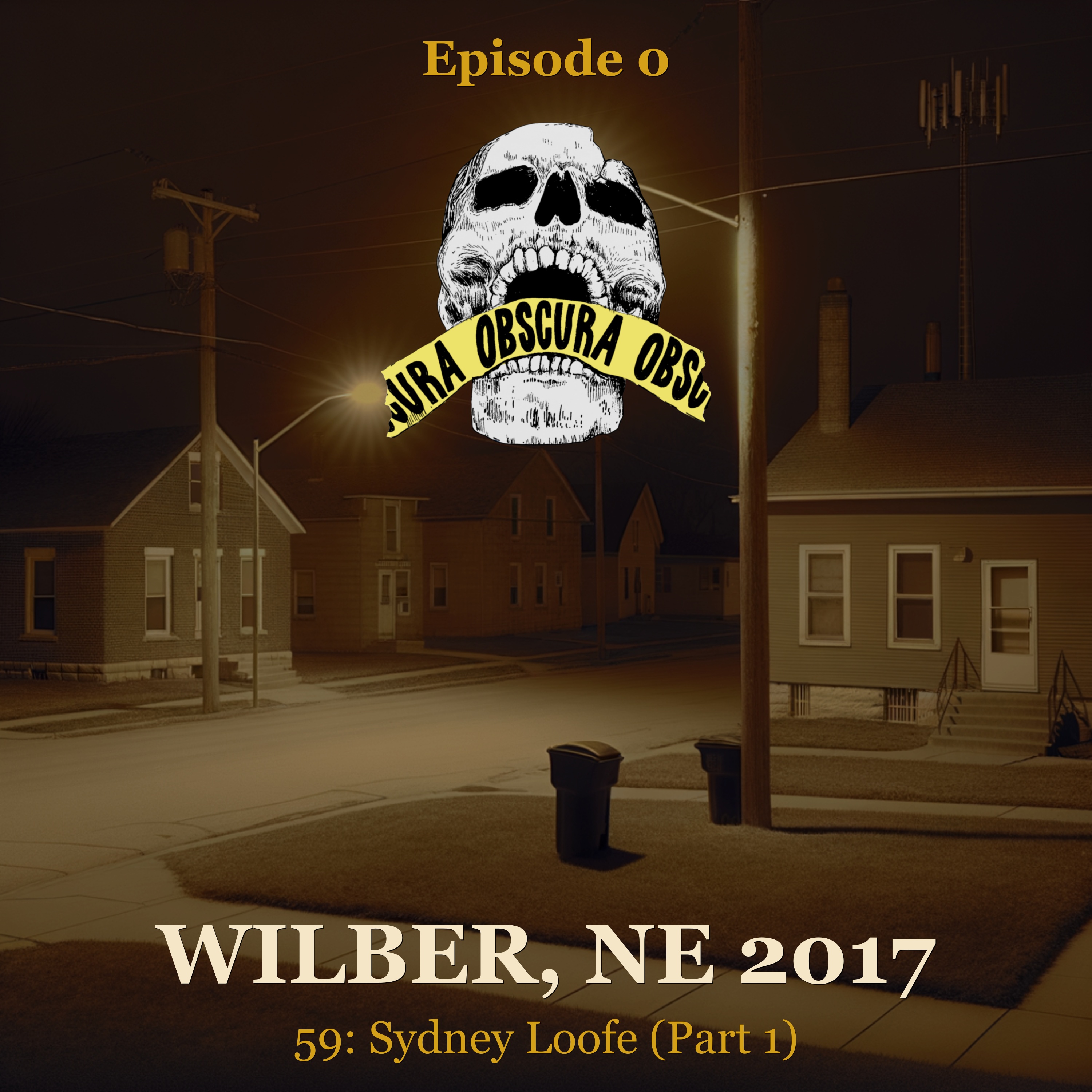 MURDERED: Sydney Loofe (Part 1) | Wilber, NE 2017 episode artwork