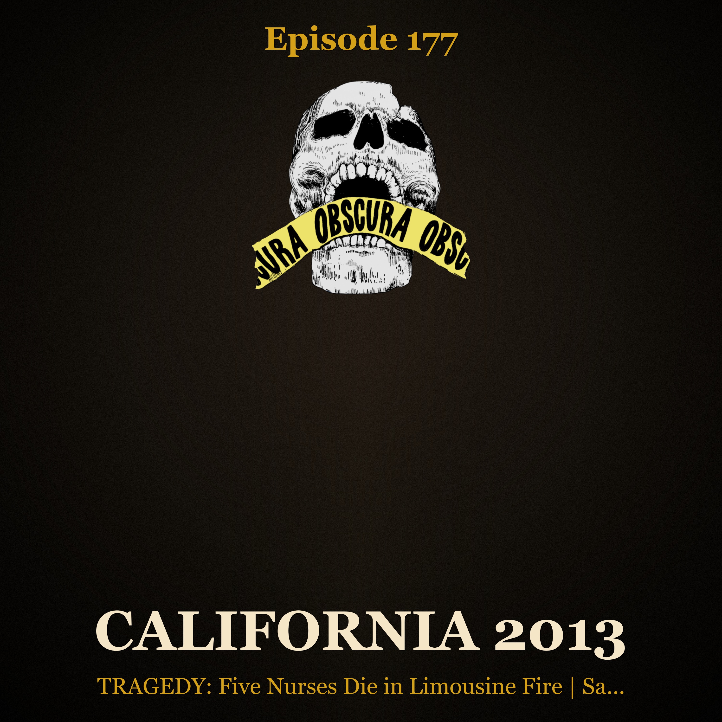 TRAGEDY: Limo Fire on San Mateo Bridge | California 2013 artwork