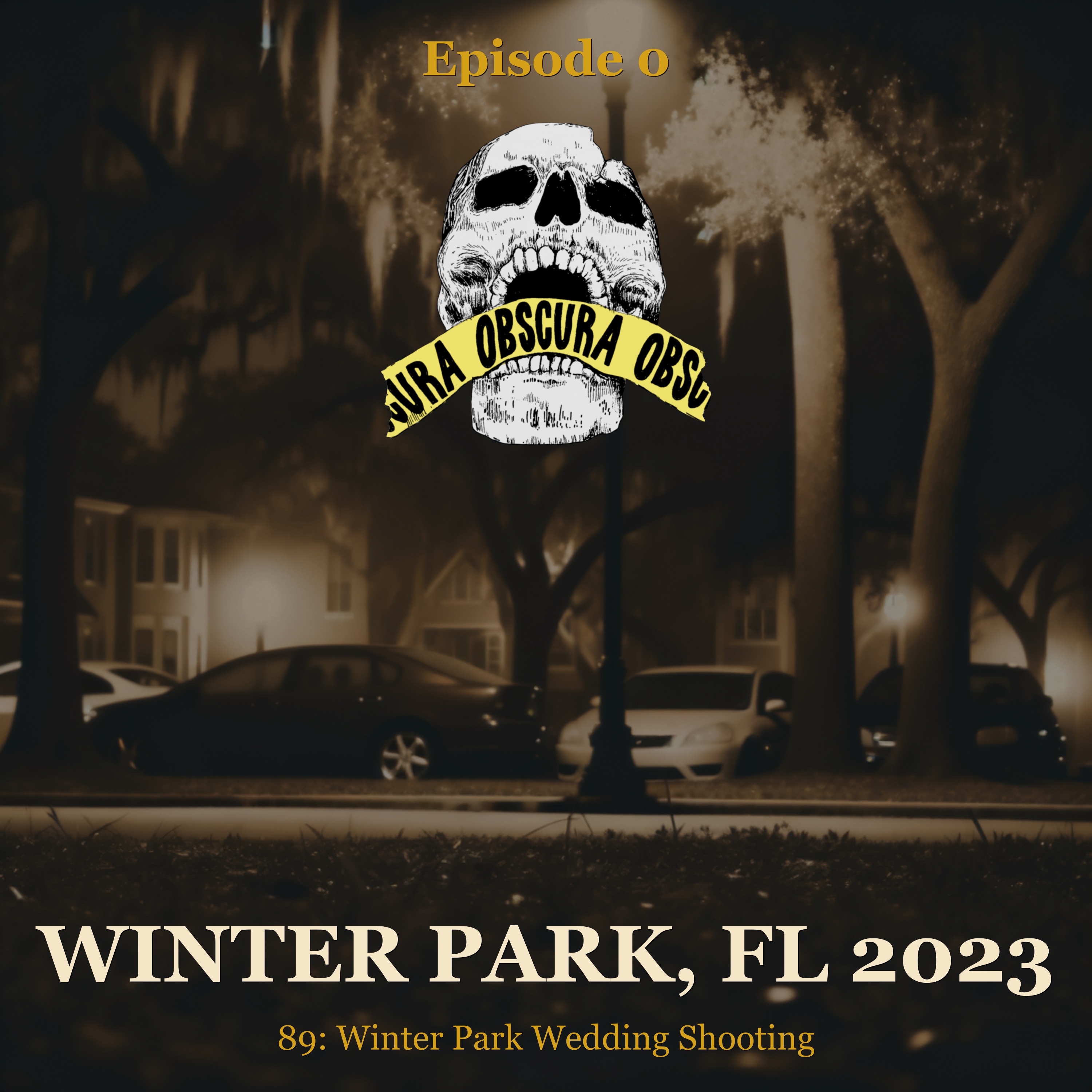 MURDERED: Winter Park Wedding Shooting | Winter Park, FL 2023 episode artwork
