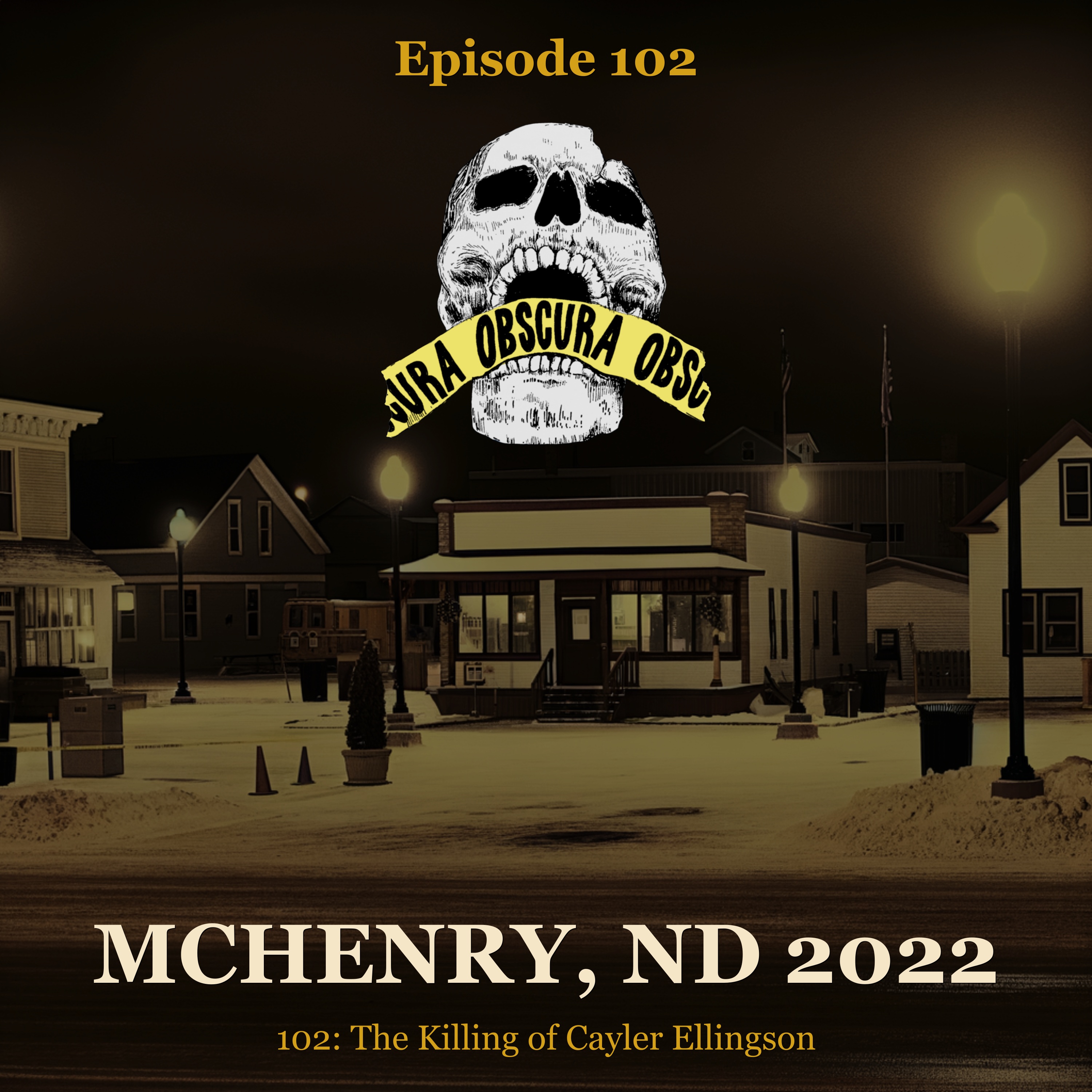 MURDERED: Cayler Ellingson | McHenry, ND 2022 episode artwork