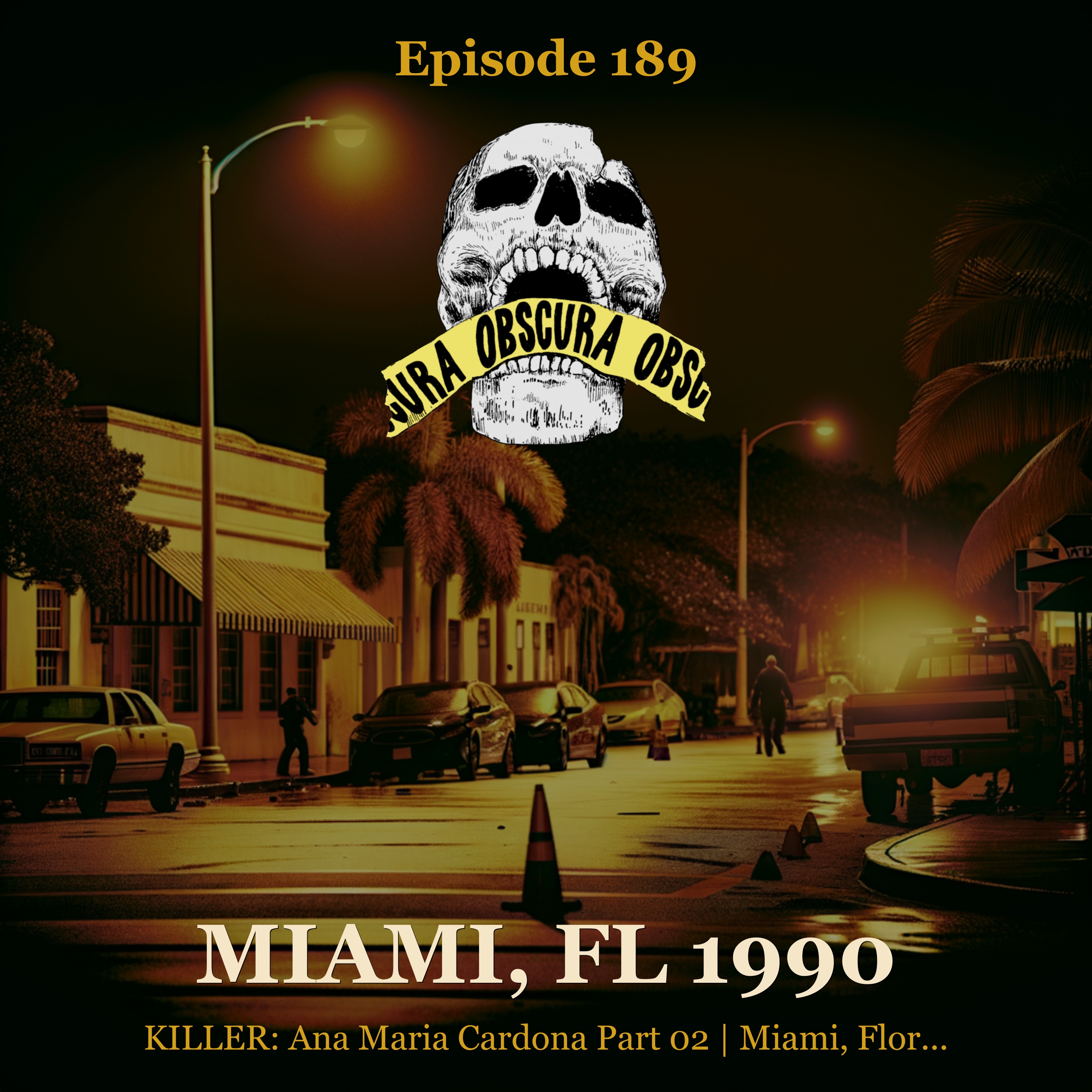 KILLER: Ana Maria Cardona (Part 2 of 2) | Miami, FL 1990 artwork