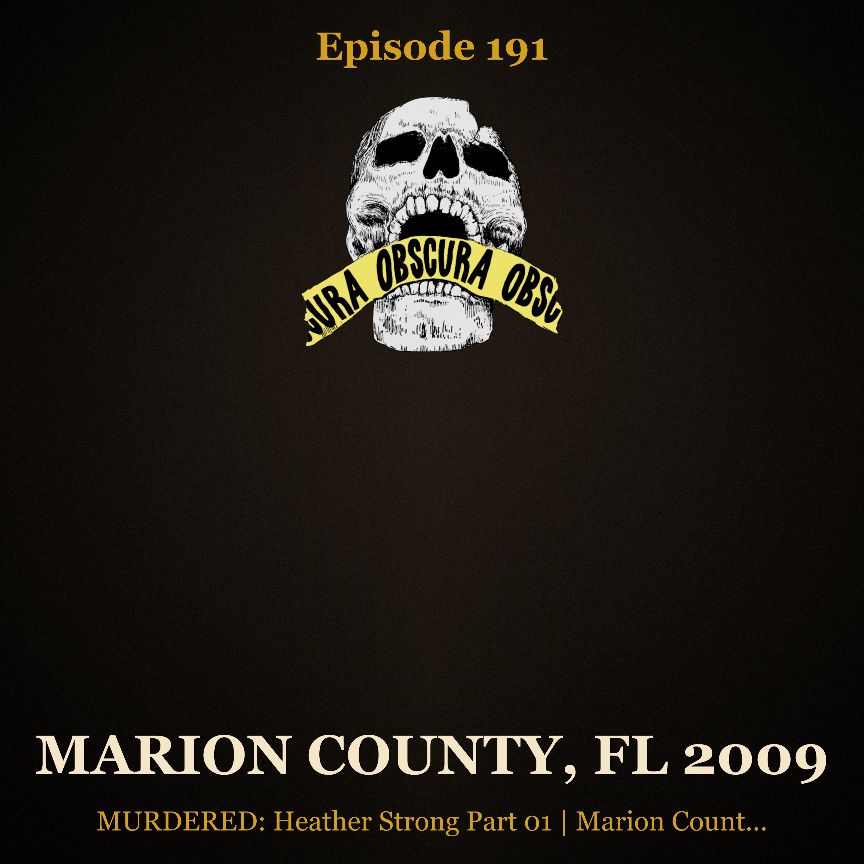 MURDERED: Heather Strong (Part 1 of 2) | Marion County, FL 2009 artwork