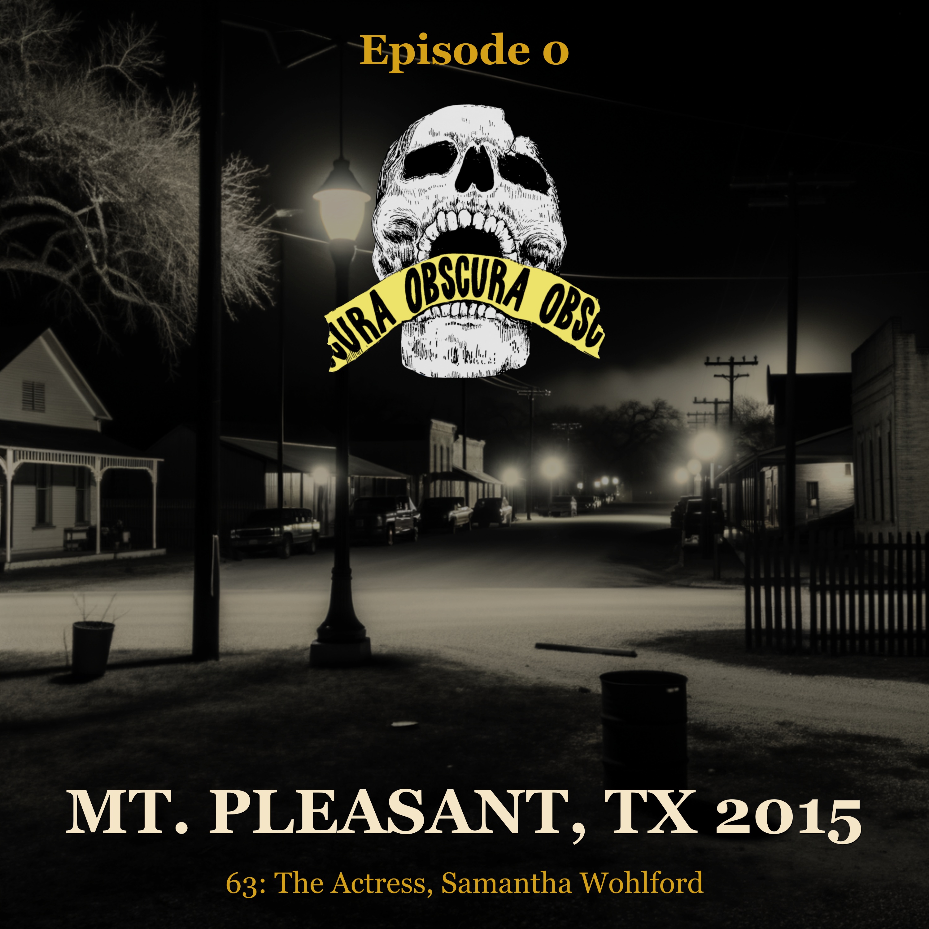 MURDERED: Samantha Wohlford | Mt. Pleasant, TX 2015 episode artwork