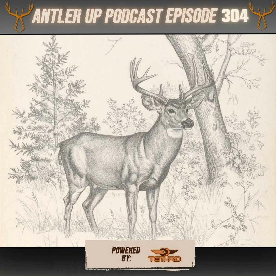 Antler Up - Reflect, Reset, and Build episode artwork