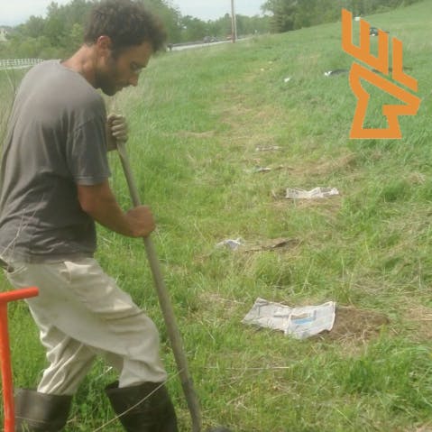 Whitetail Landscapes - EP213 Roadside Screening, Design Mistakes, Permaculture, Wildlife Windbreak episode artwork