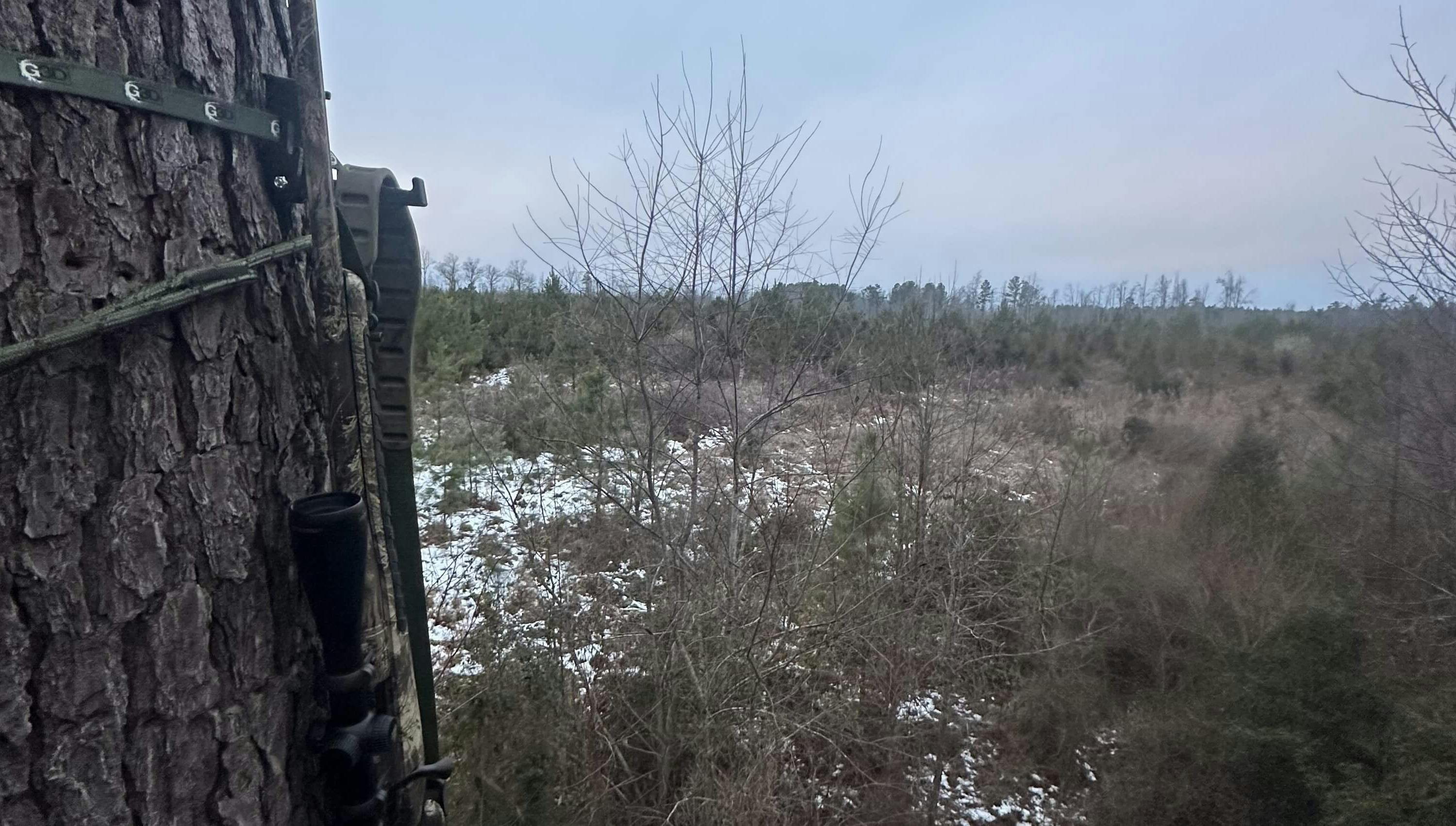 Mid Atlantic Outdoorsmen - Late season wrap up! episode artwork