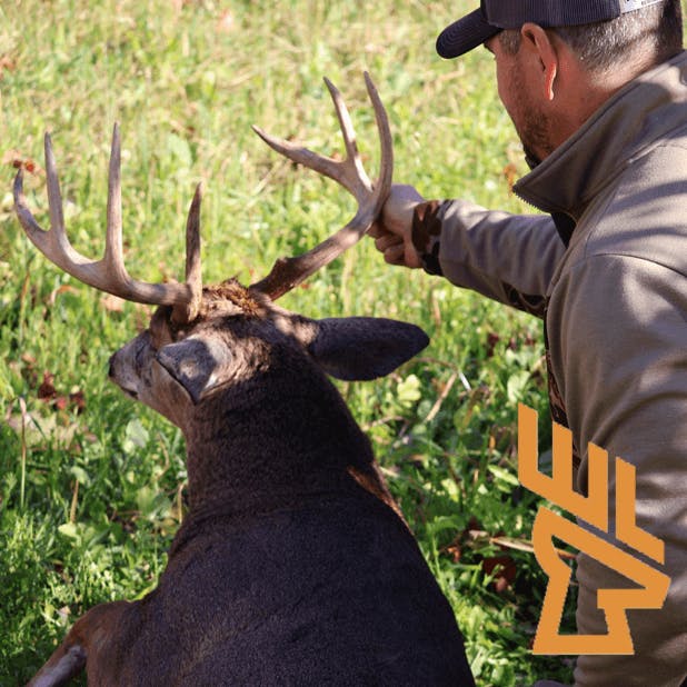 Whitetail Landscapes - EP212 Habitat Layout Rules, Escape Cover, Bedding, Deer Psychology episode artwork