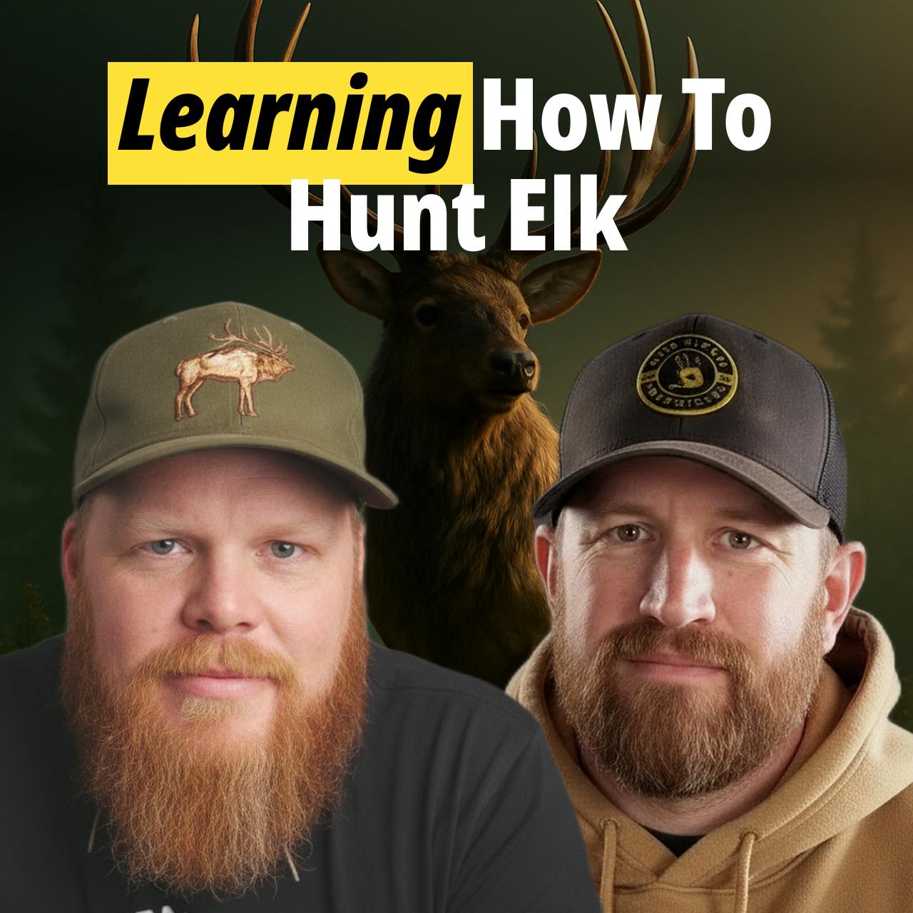 Western Rookie - Learning How To Hunt Elk