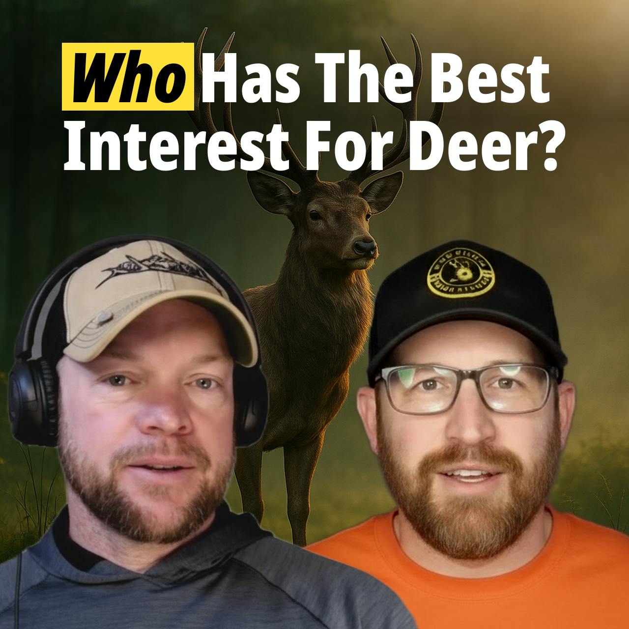 How To Hunt Deer - Who Has The Best Interest For Deer? episode artwork