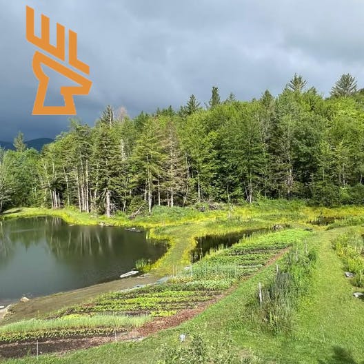 Whitetail Landscapes - EP215 Healthy Landscapes, Pond Design, High Density Tree Plantings, Wildlife Habitat