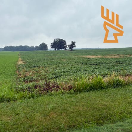 Whitetail Landscapes - Designing Wildlife Travel Corridors and Hedgerows episode artwork