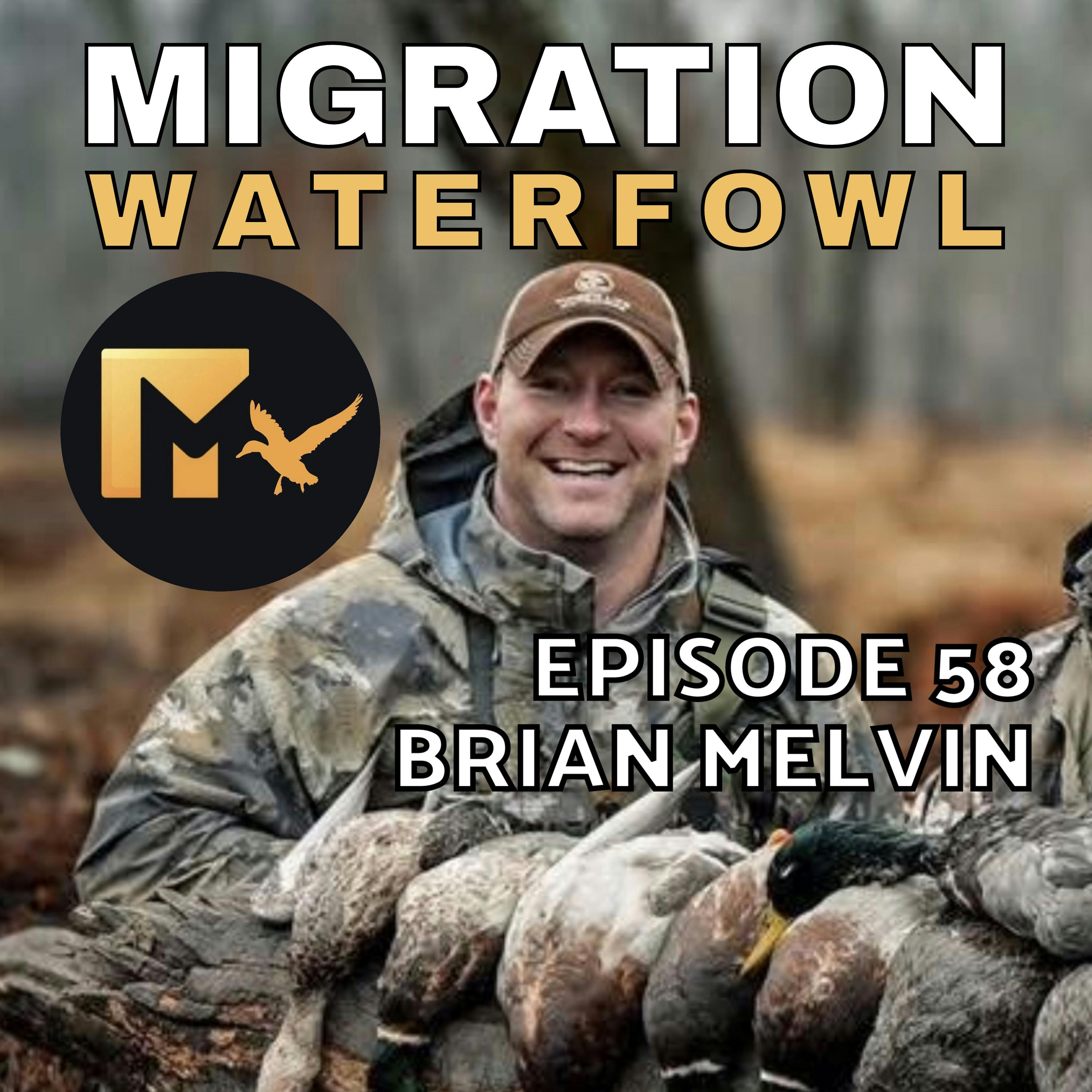 The Migration - Black Ducks, Flooded Timber & More New Jersey Fun with Brian Melvin episode artwork