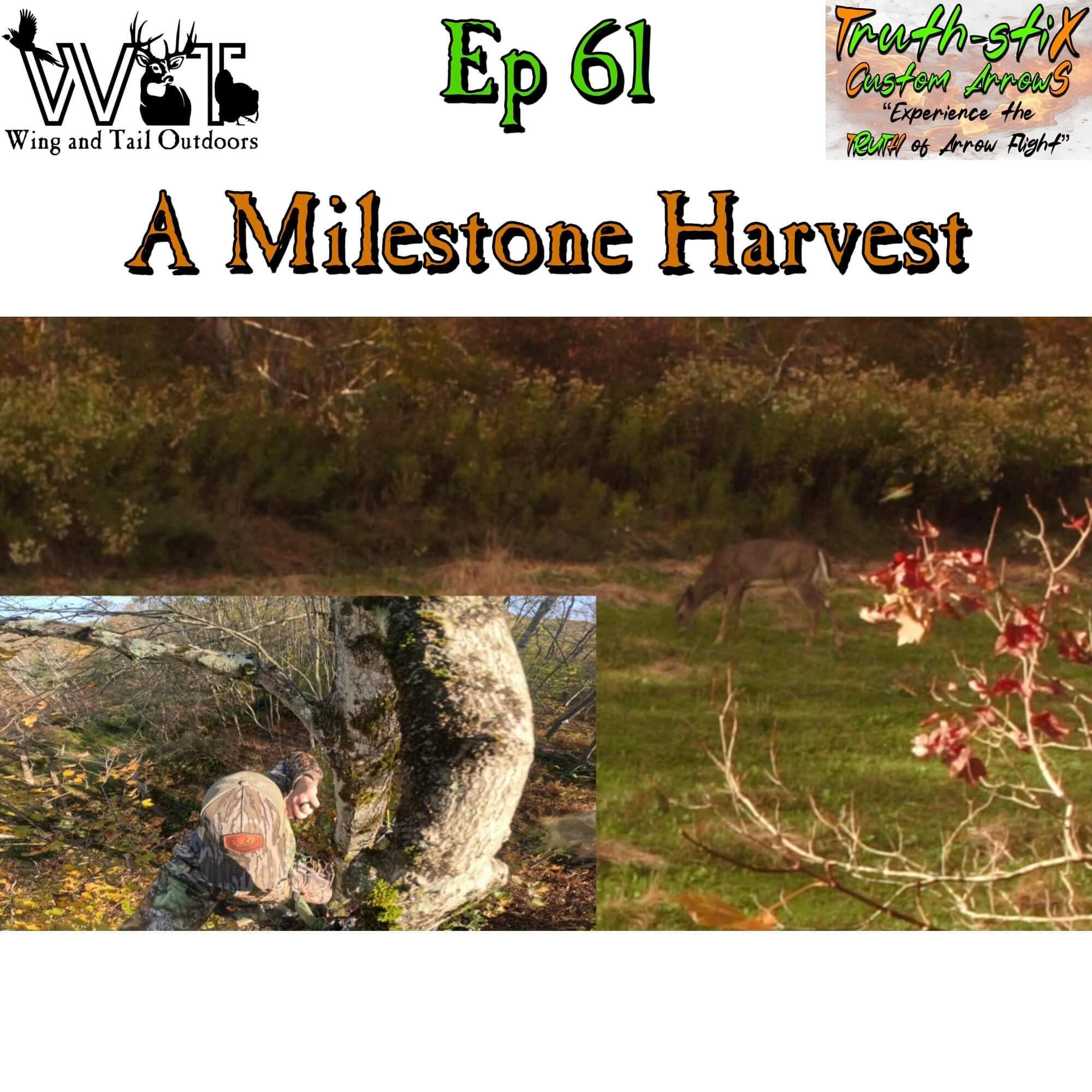 Wing & Tail Outdoors - A Milestone Harvest episode artwork