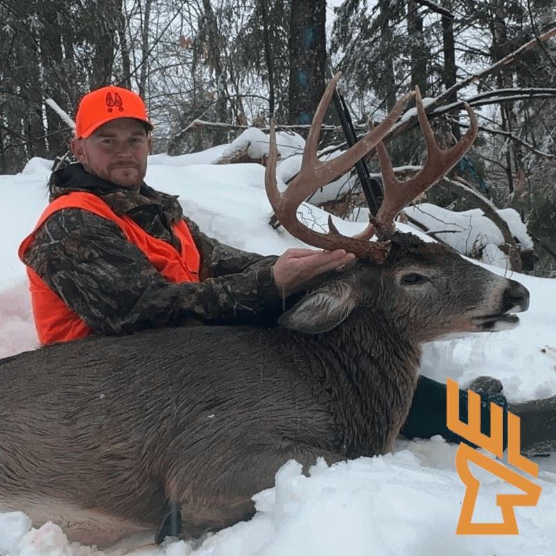 Whitetail Landscapes - Mastering the Art of Tracking Whitetail Deer, Deer Behavior, Secrets episode artwork