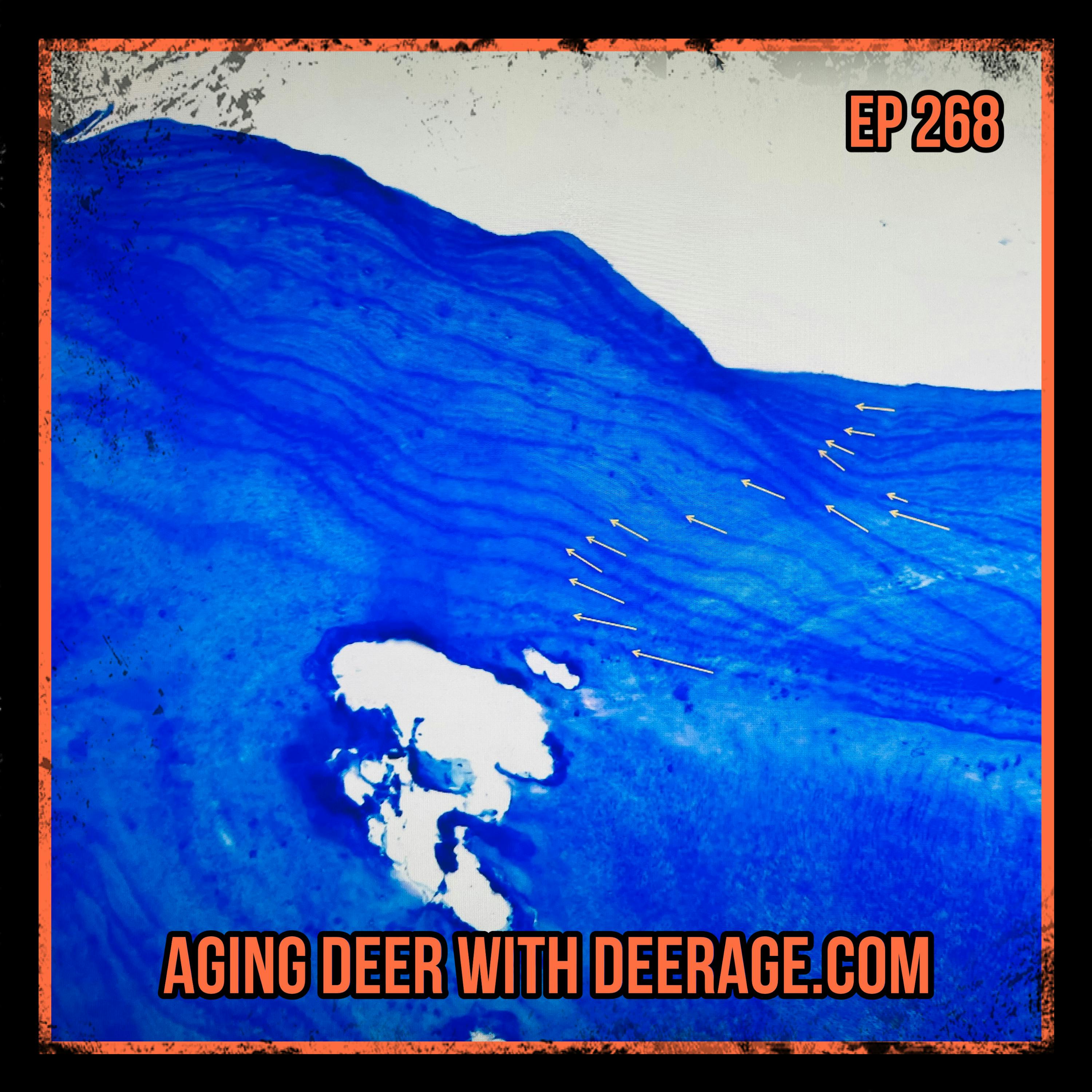 Missouri Woods & Water - Aging Deer With DeerAge.com episode artwork