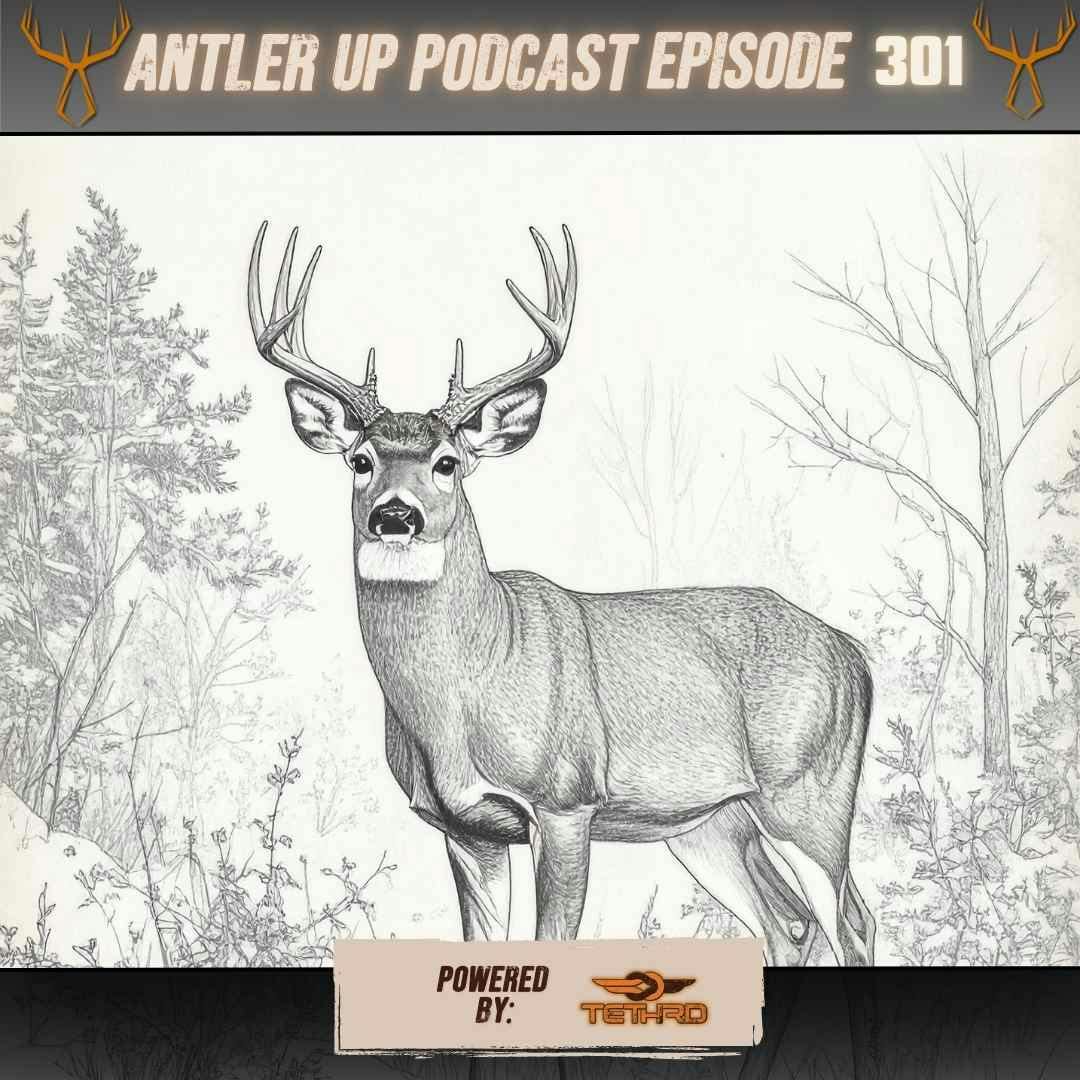 Antler Up - Reflecting & Motivation episode artwork