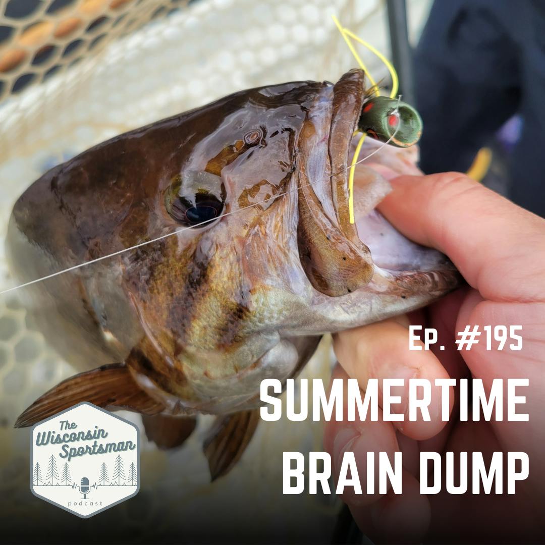 Wisconsin Sportsman - Summertime Brain Dump episode artwork
