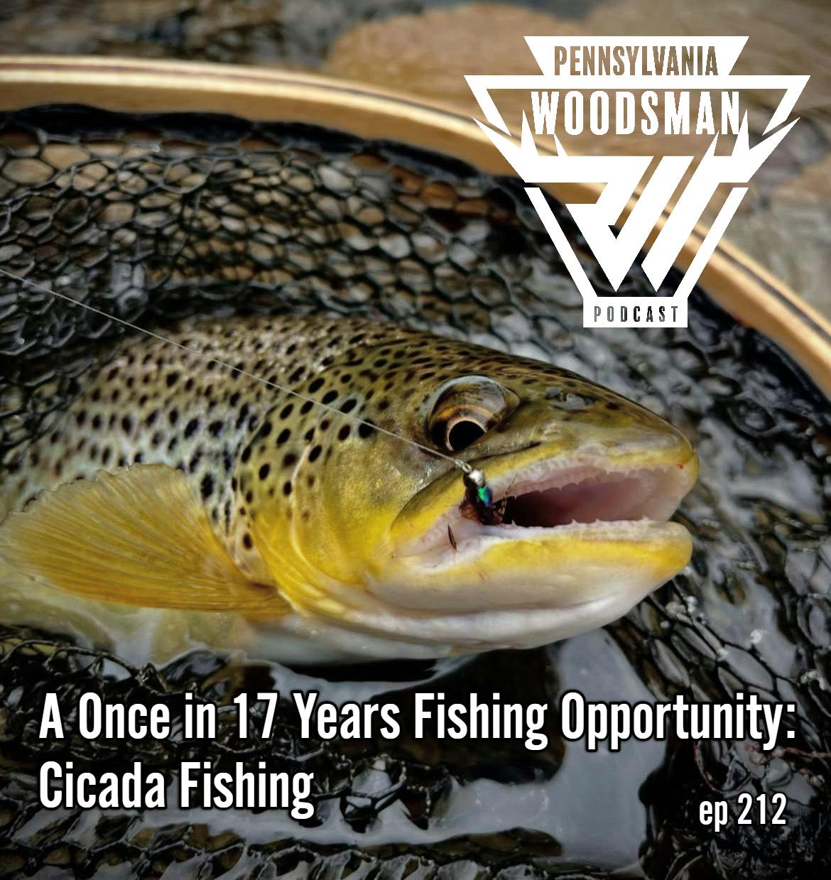 Pennsylvania Woodsman - A Once in 17 Years Fishing Opportunity: Cicada Fishing episode artwork