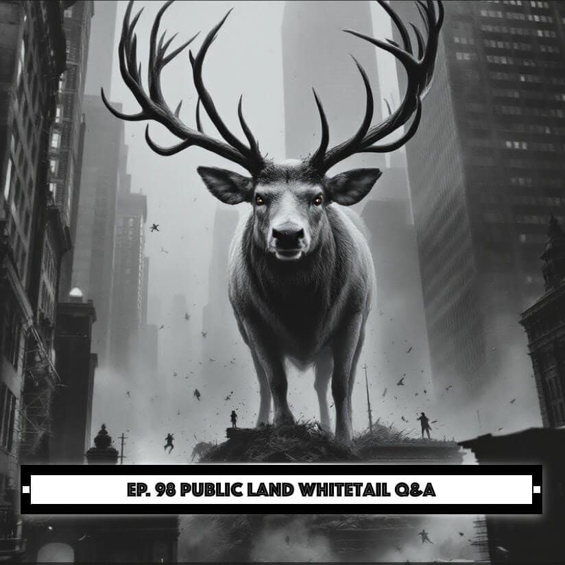 Hunt Detail - Public Land Whitetail Q&A episode artwork
