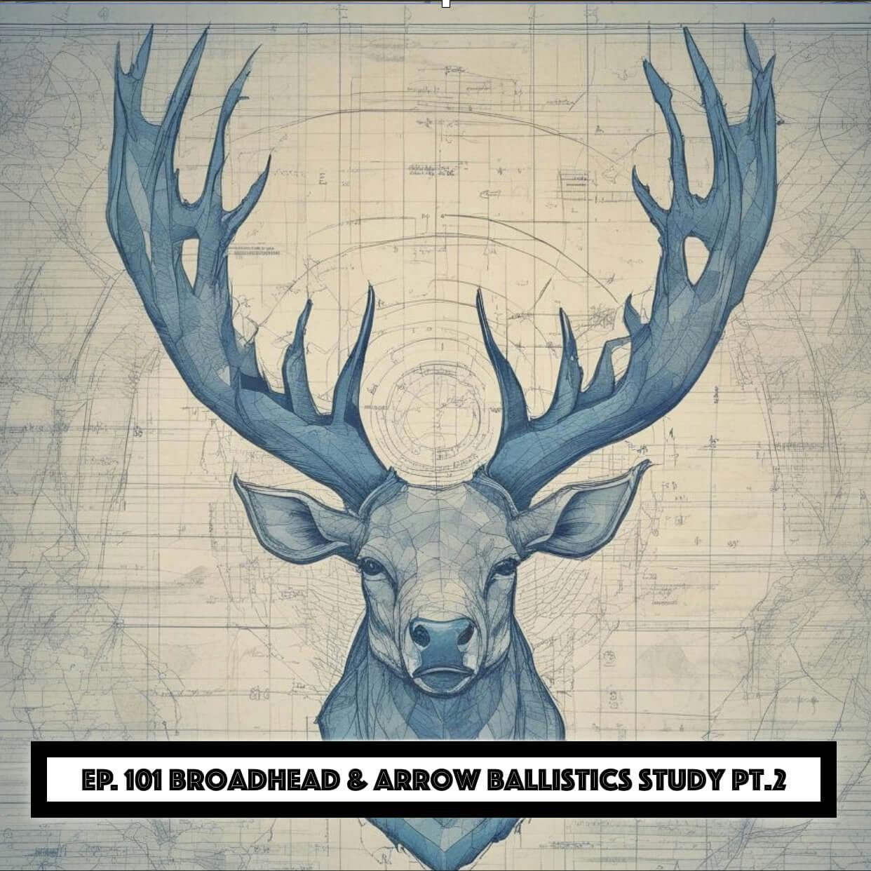 Hunt Detail - Broadhead & Arrow Ballistics Study Pt. 2 episode artwork
