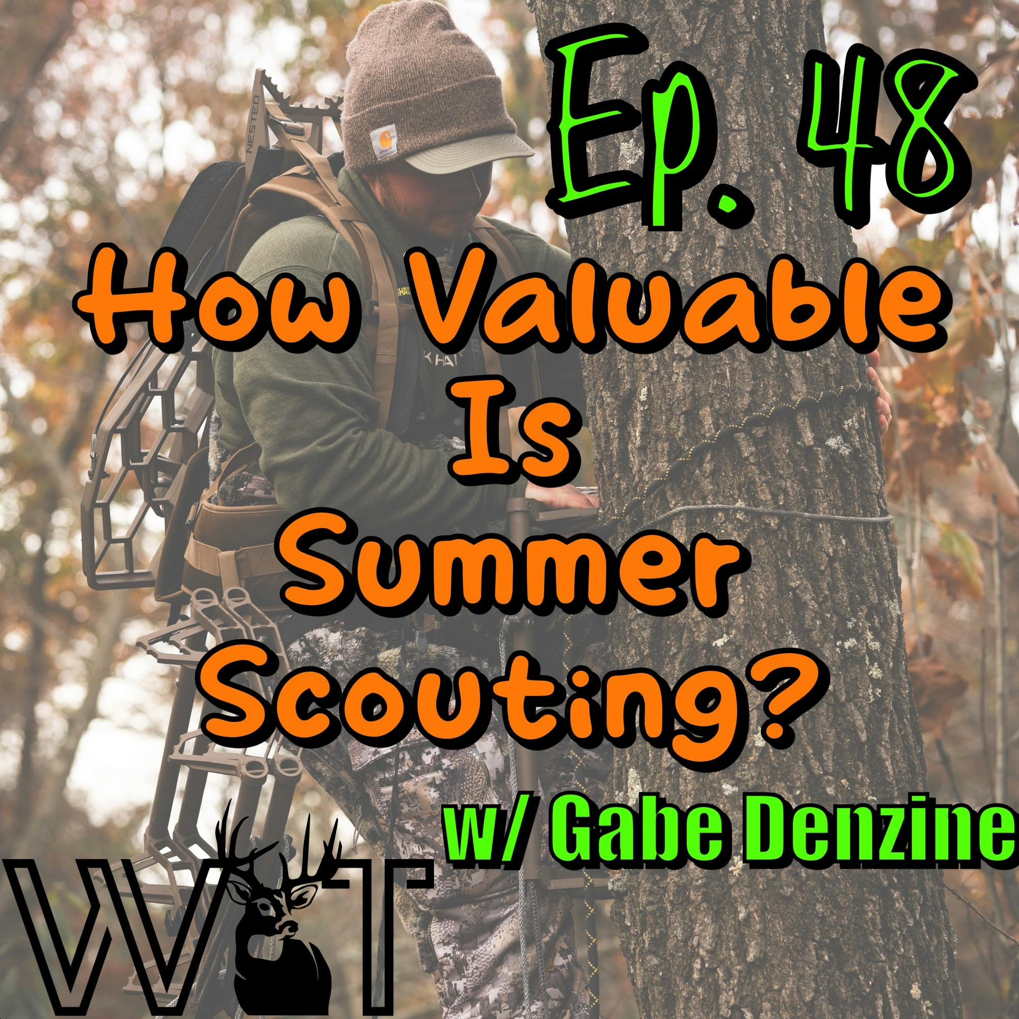 Wing & Tail Boys - How Valuable is Summer Scouting? w/ Gabe Denzine episode artwork