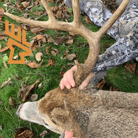Whitetail Landscapes - EP205 Small Hunting Property Design, Old Field Conversions, Late Season Food Plots episode artwork