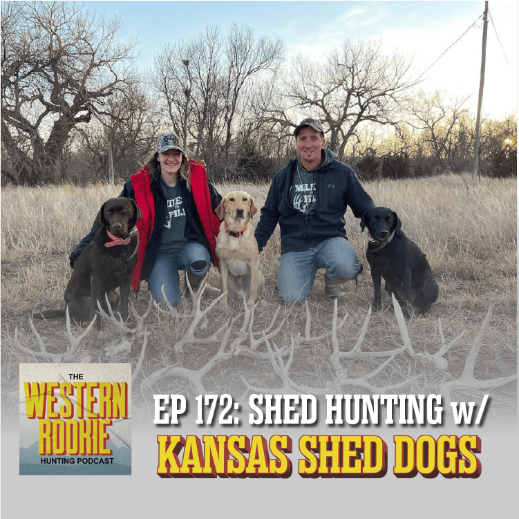 Western Rookie - Shed Hunting w/ Kansas Shed Dogs episode artwork