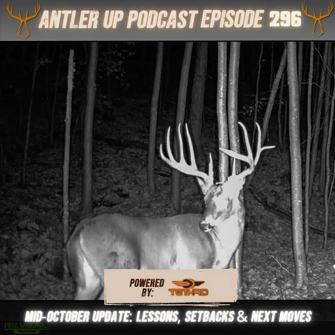 Antler Up - Mid-October Update: Lessons, Setbacks & Next Moves episode artwork