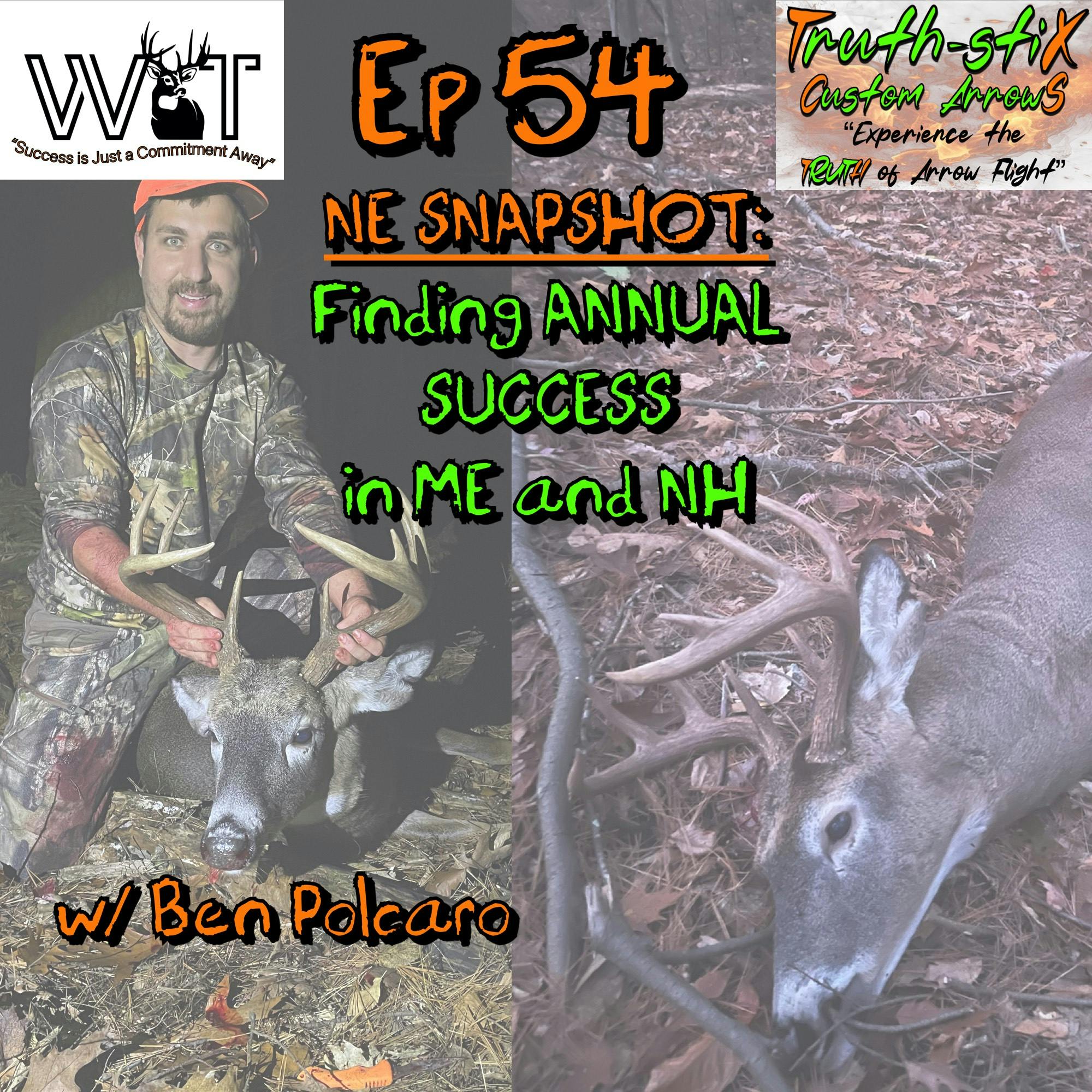 Wing & Tail Boys - NE Snapshot: Finding ANNUAL SUCCESS  w/ Ben Polcaro episode artwork