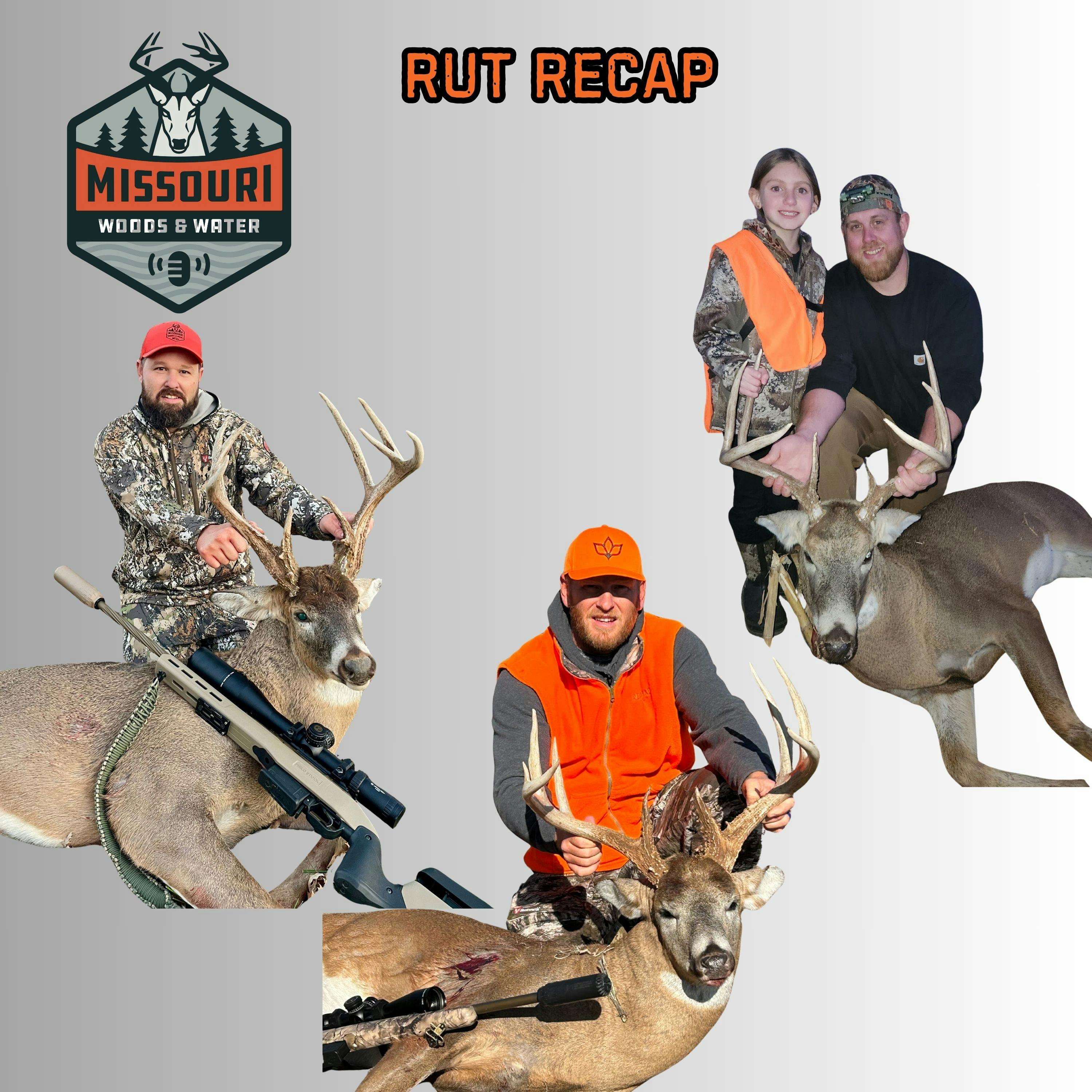 Missouri Woods & Water - Rut Recap episode artwork