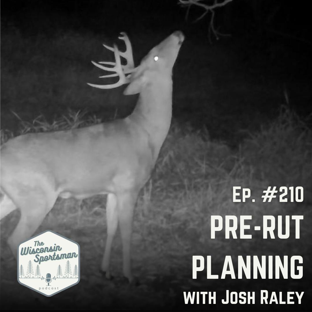 Wisconsin Sportsman - Pre-Rut Planning with Josh Raley episode artwork