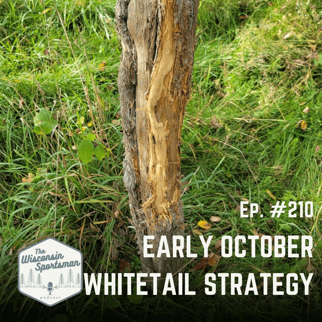 Wisconsin Sportsman - Early October Whitetail Strategy episode artwork