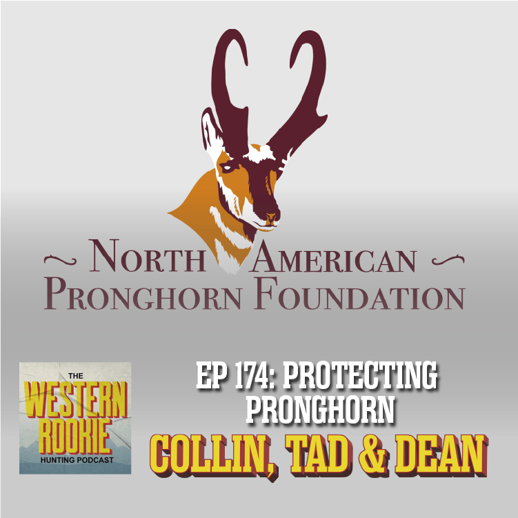 Western Rookie - Protecting Pronghorn w/ North American Pronghorn Foundation episode artwork