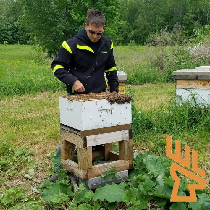 Whitetail Landscapes - Introducing Bees To Your Hunting Property episode artwork
