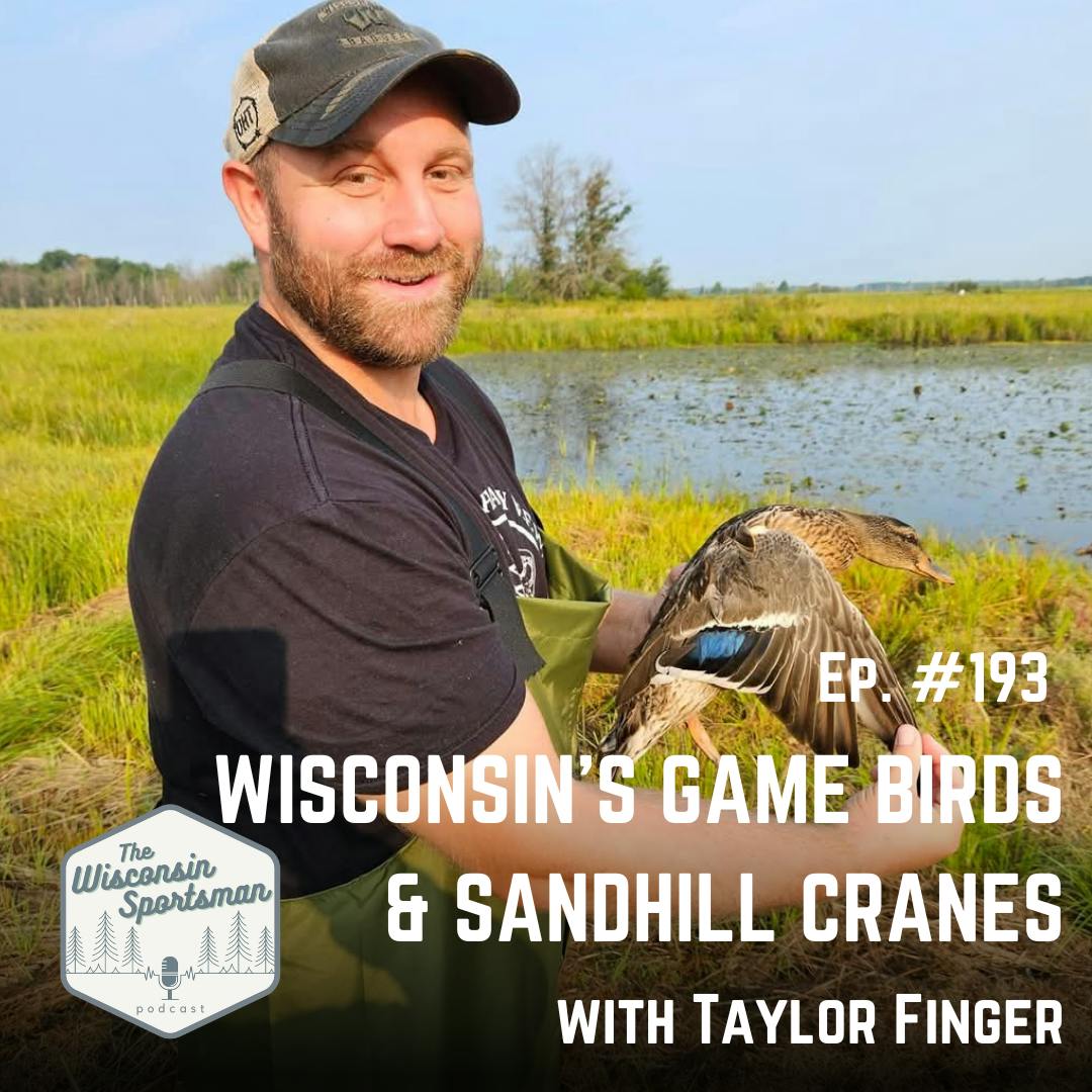 Wisconsin Sportsman - Wisconsin's Game Birds & Sandhill Cranes with Taylor Finger episode artwork