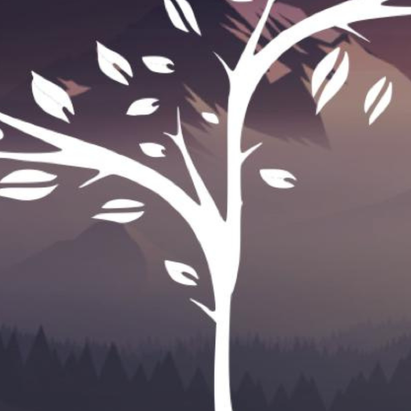 D'Rashin It Out cover art