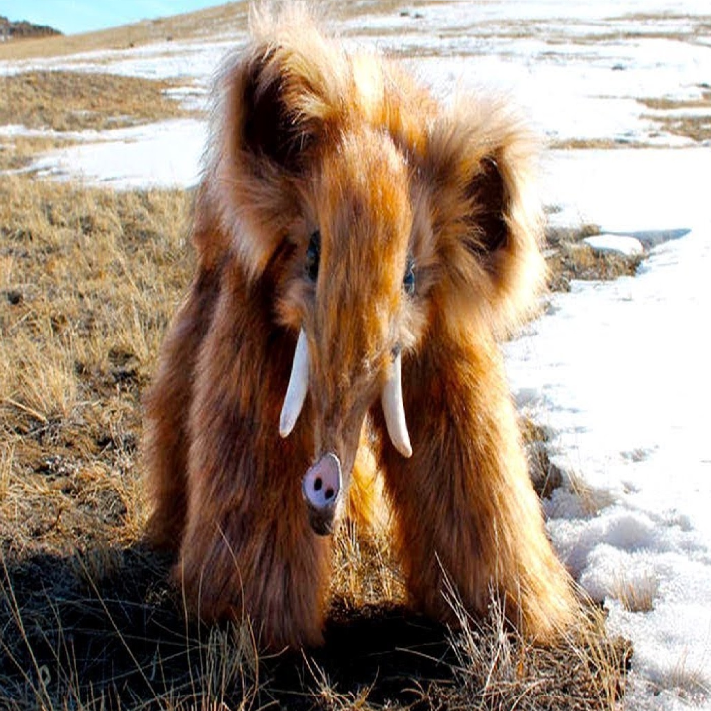 Animals That Came Back From Extinction
