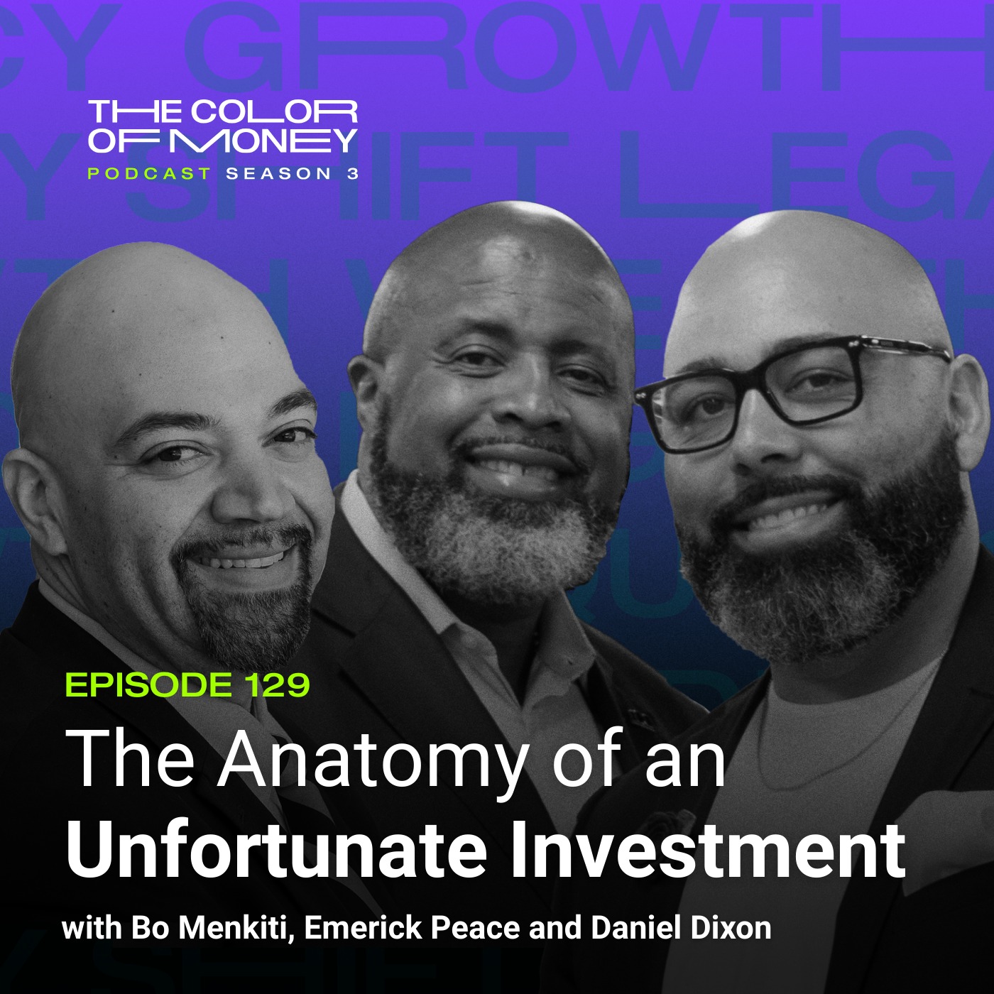 The Anatomy of an Unfortunate Investment episode artwork