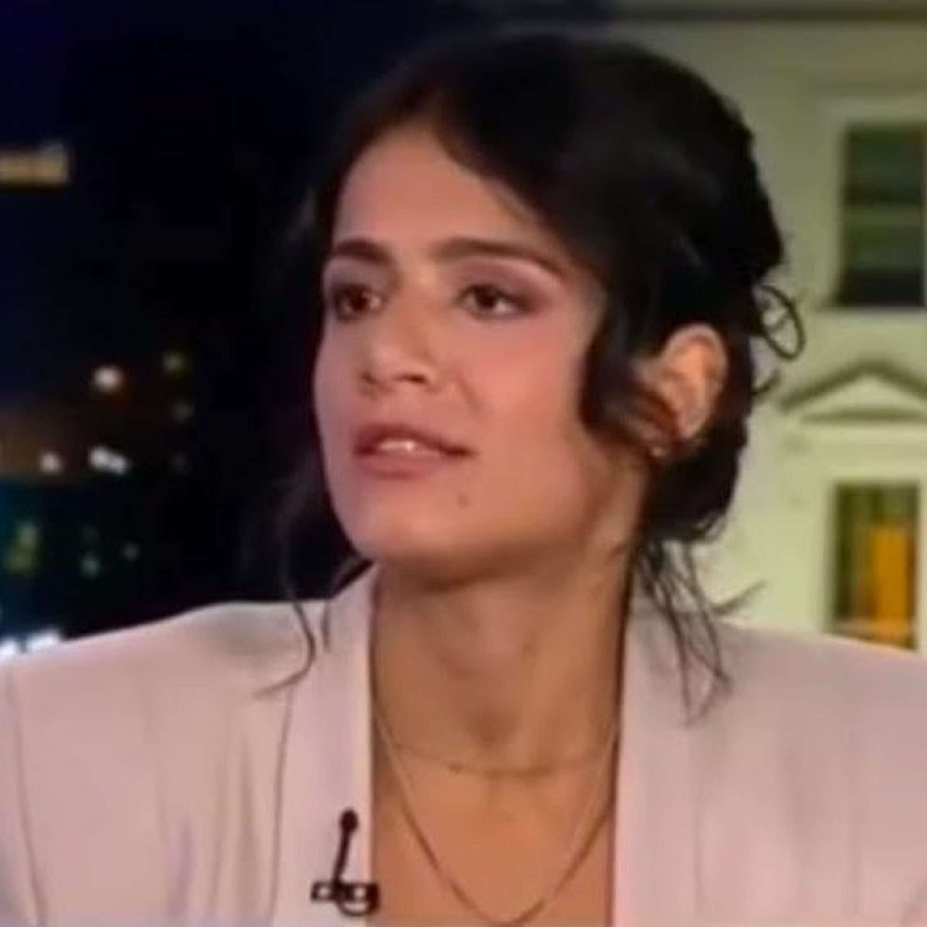 The Katie Halper Show