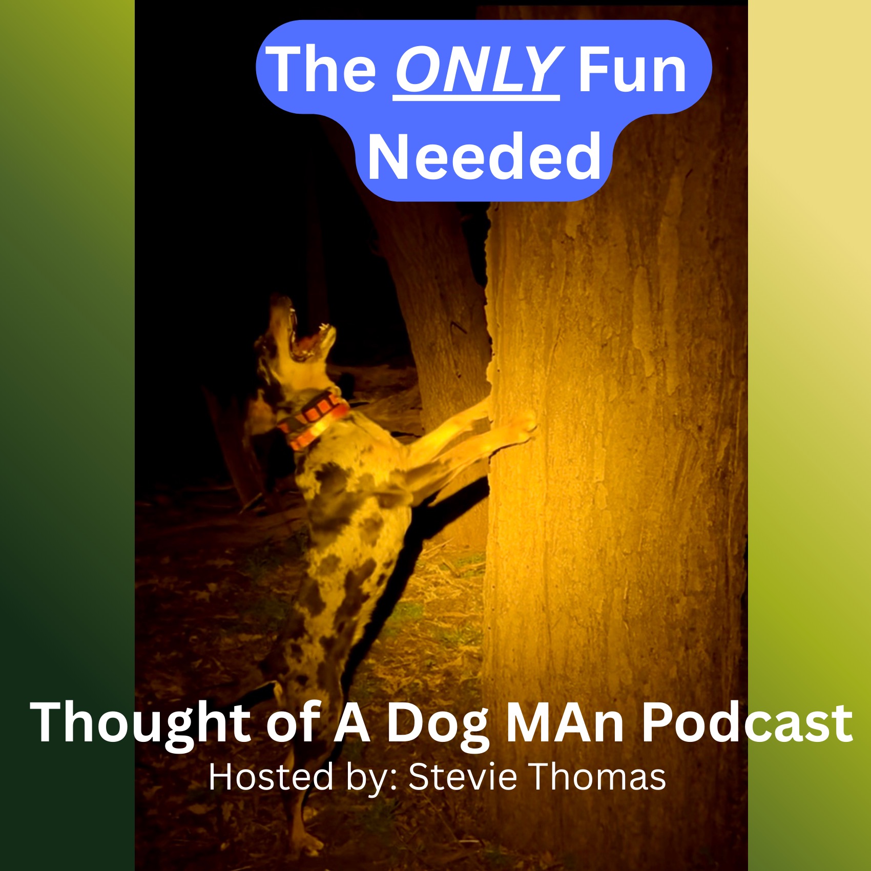 Titles Aren’t the Only Measure of a Good Coon Dog episode artwork